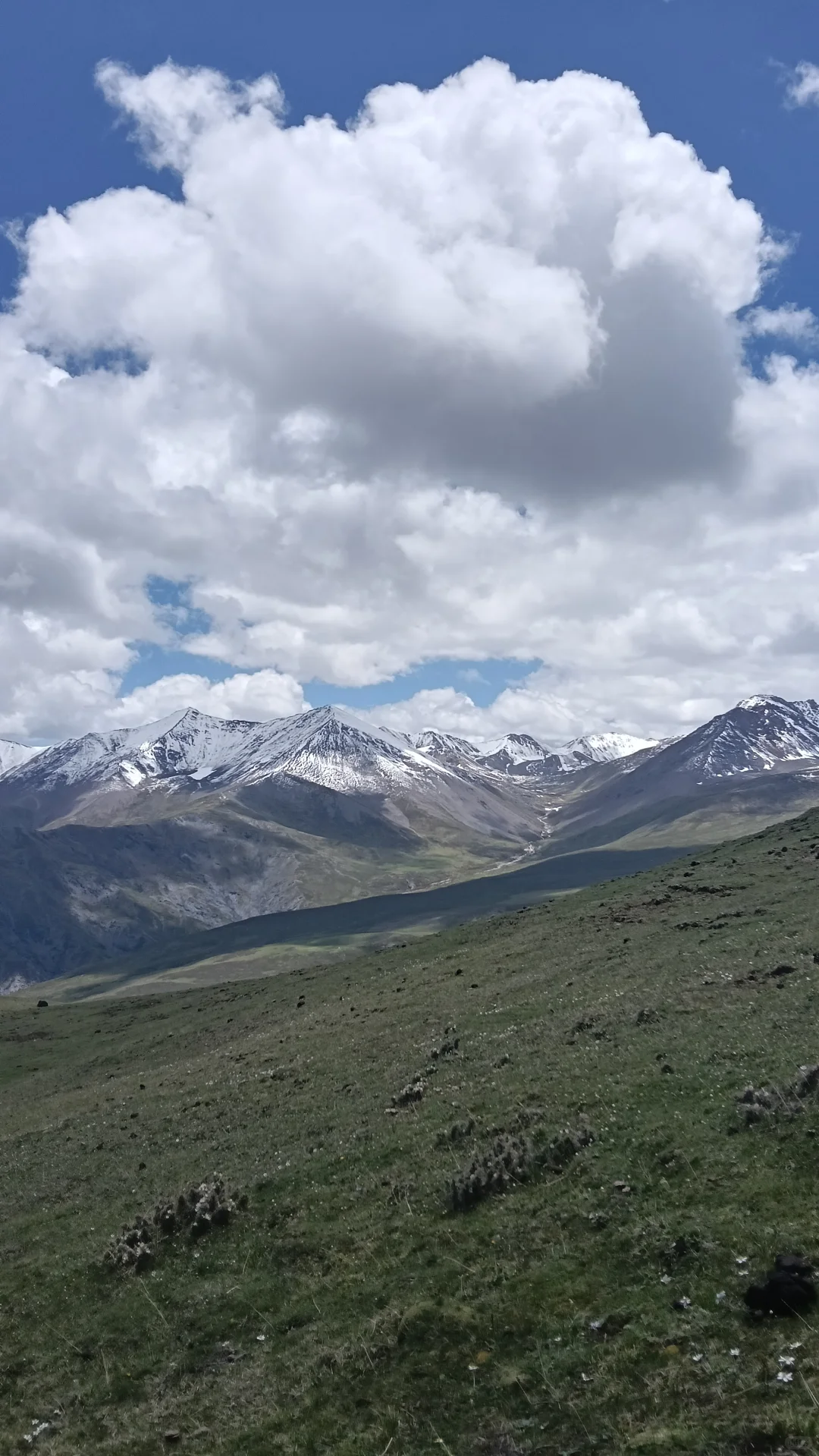 高山