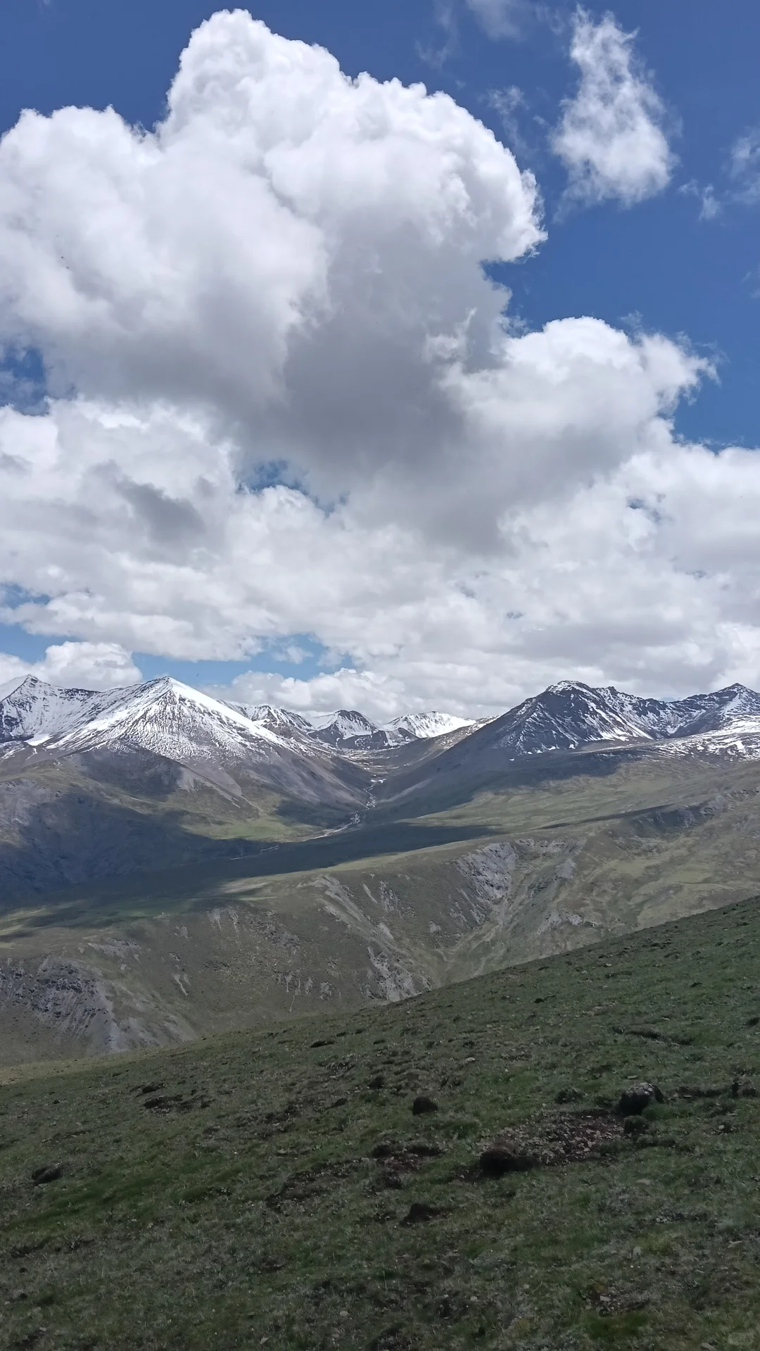 高山