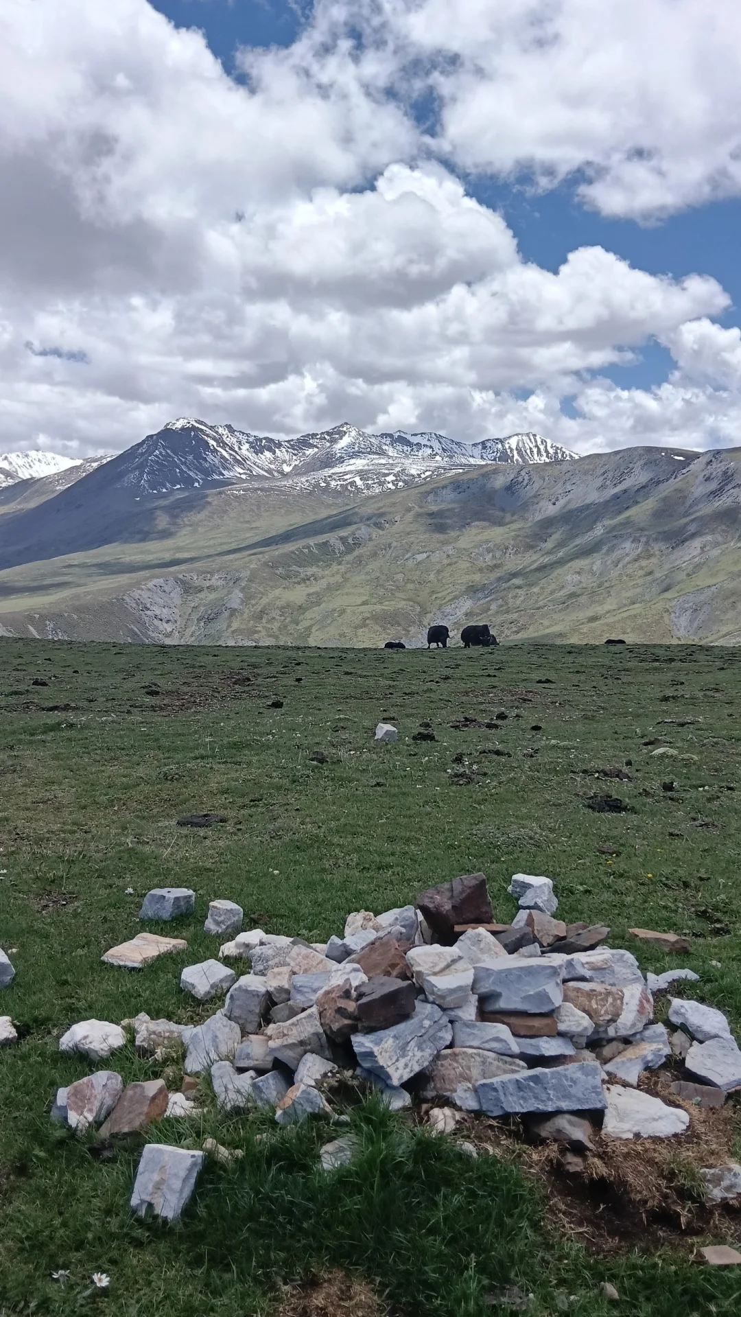 高山