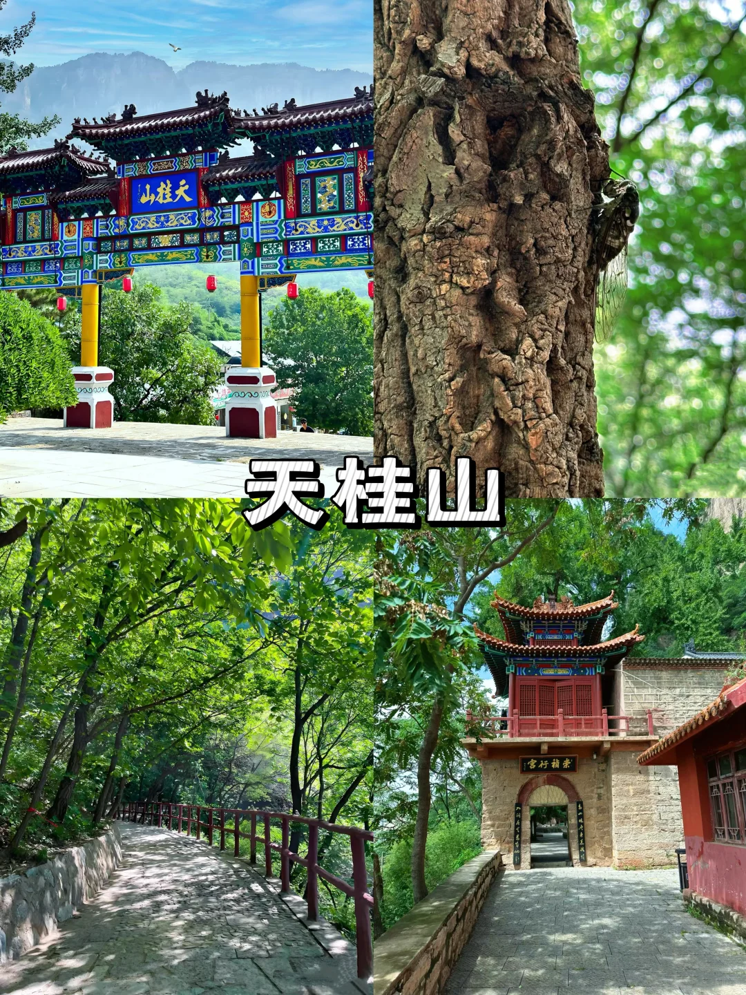 这个暑假，石家庄多个景区宣布免费，快收藏