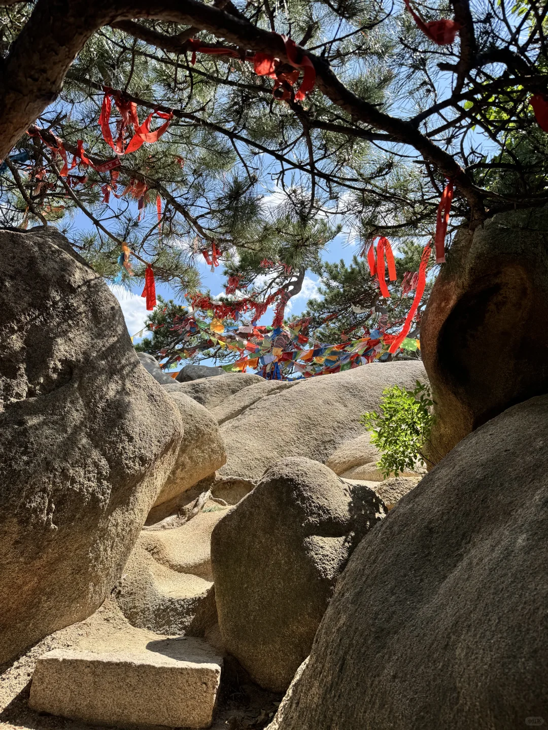发现了一个宝藏爬山地点