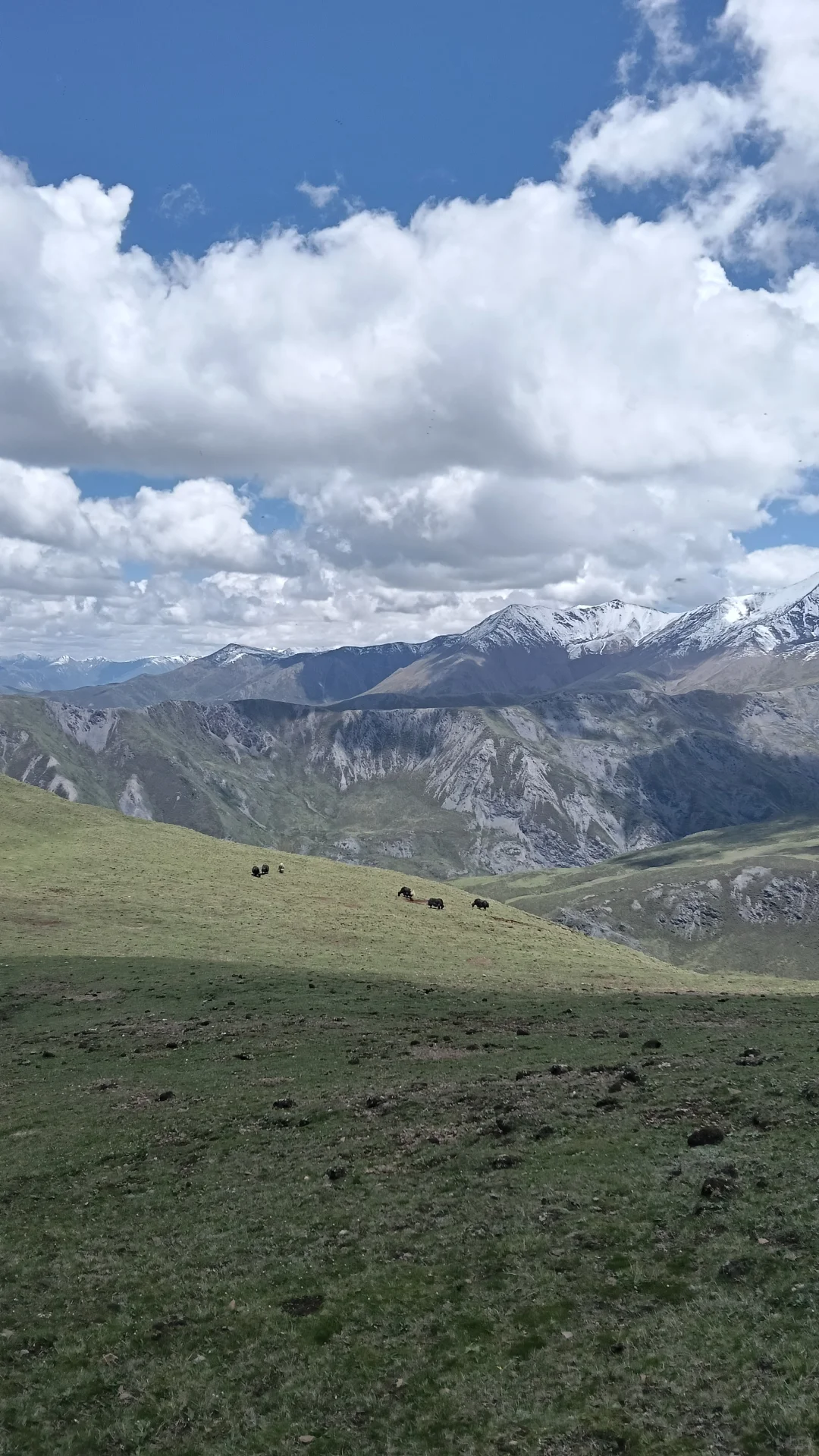 高山