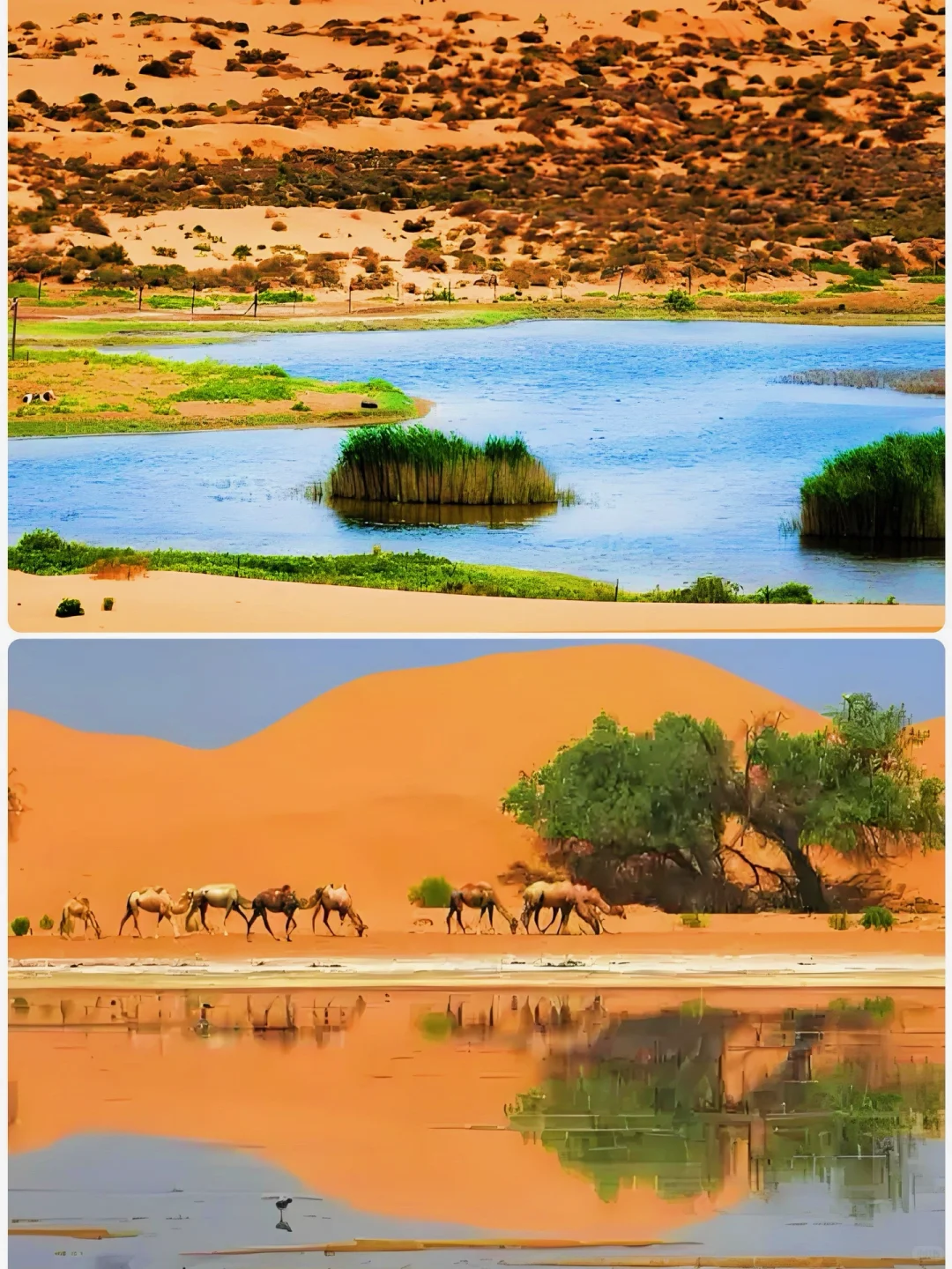 🌈北京出发内蒙阿拉善🐫2天1夜邂逅盐湖秘境