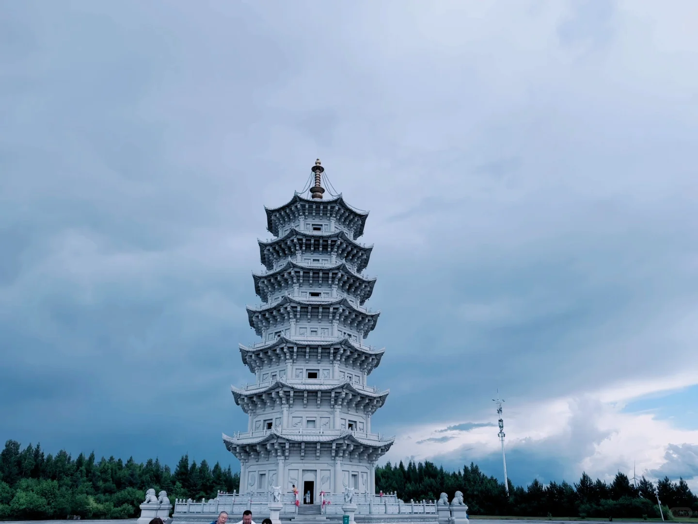 ＂目光所及皆苍绿＂🌲🌿
