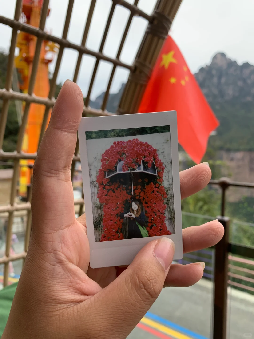 新乡｜不是我说这也太美了吧！🤩