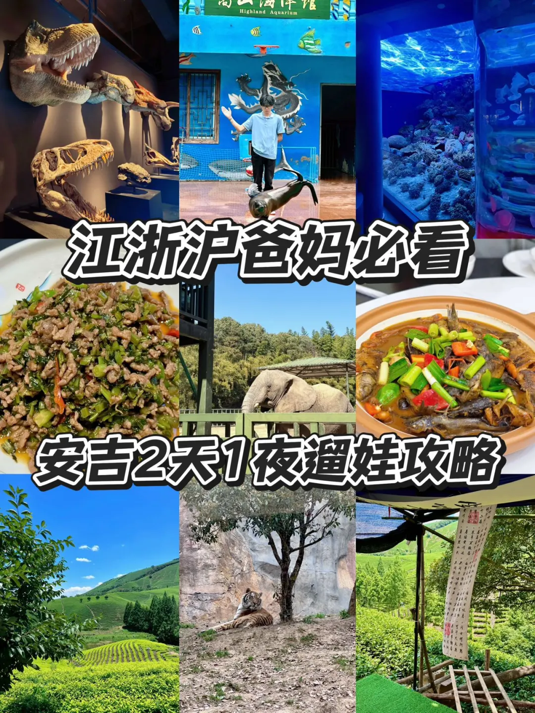 江浙沪爸妈必看❗安吉2天1夜遛娃不费妈攻略