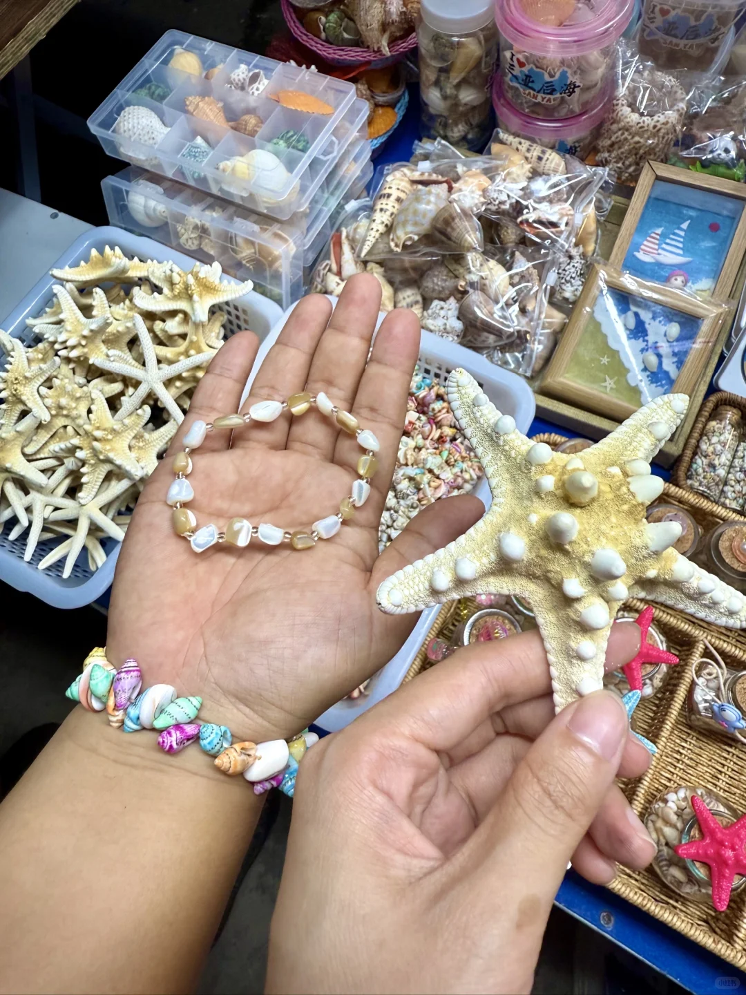 三亚后海🌊 保姆级旅游攻略 | 行住食玩全
