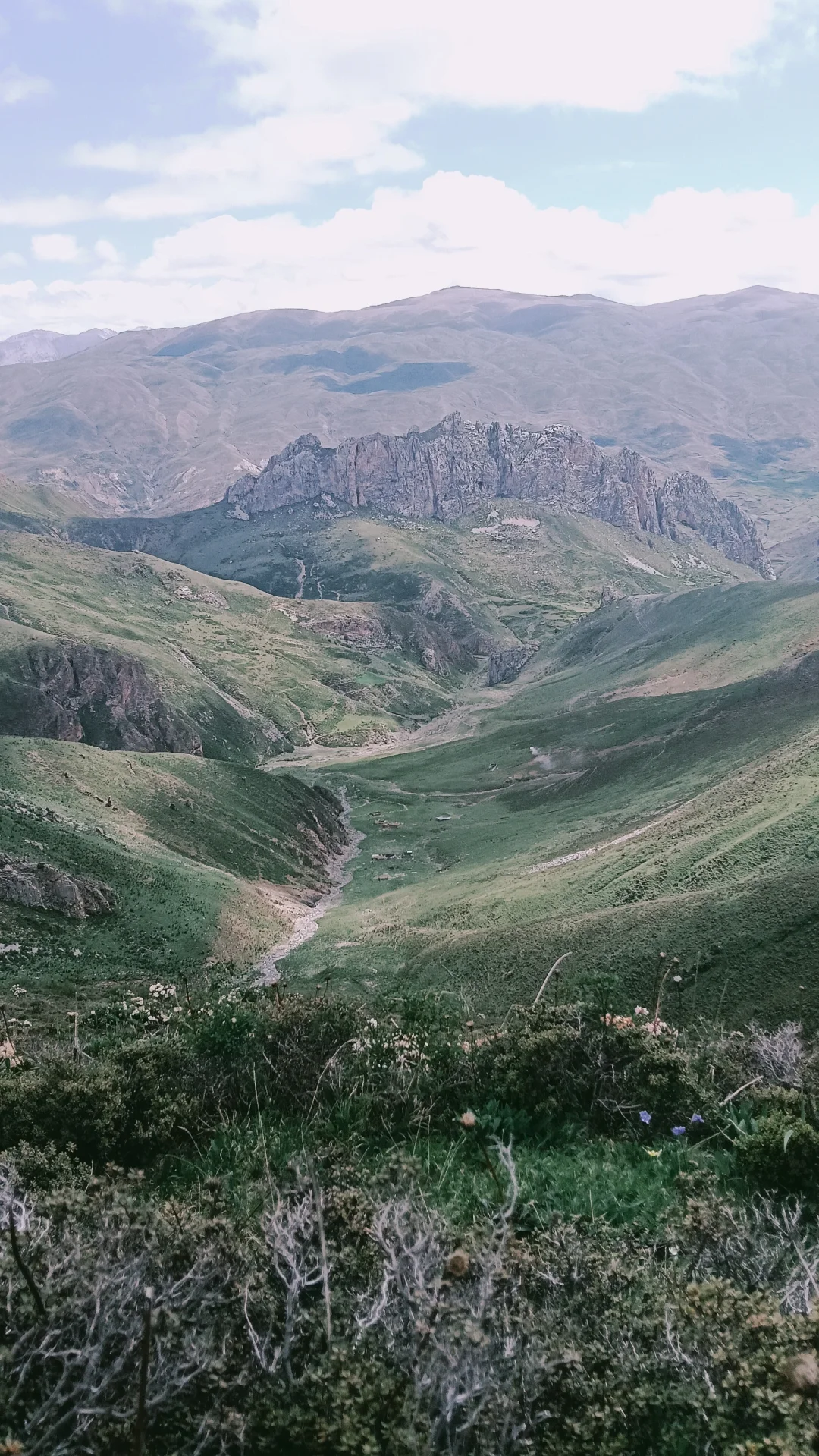 高山