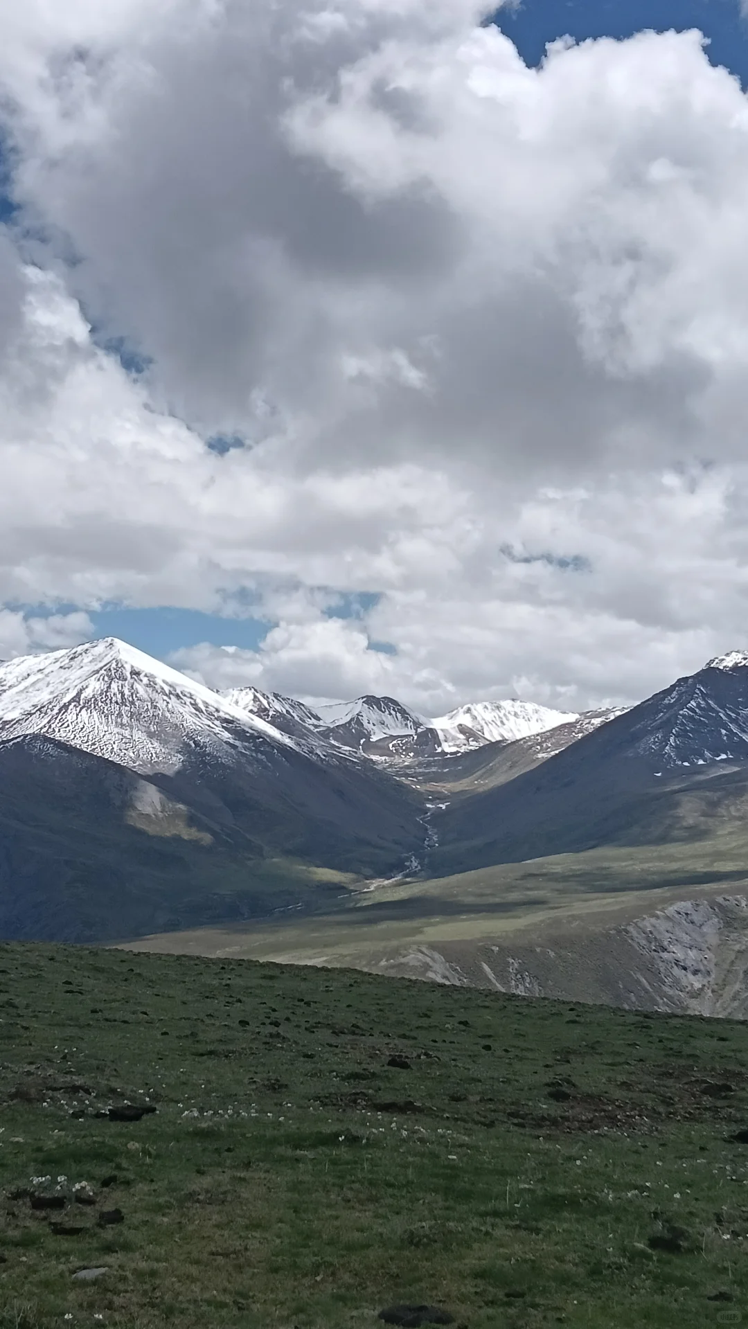 高山
