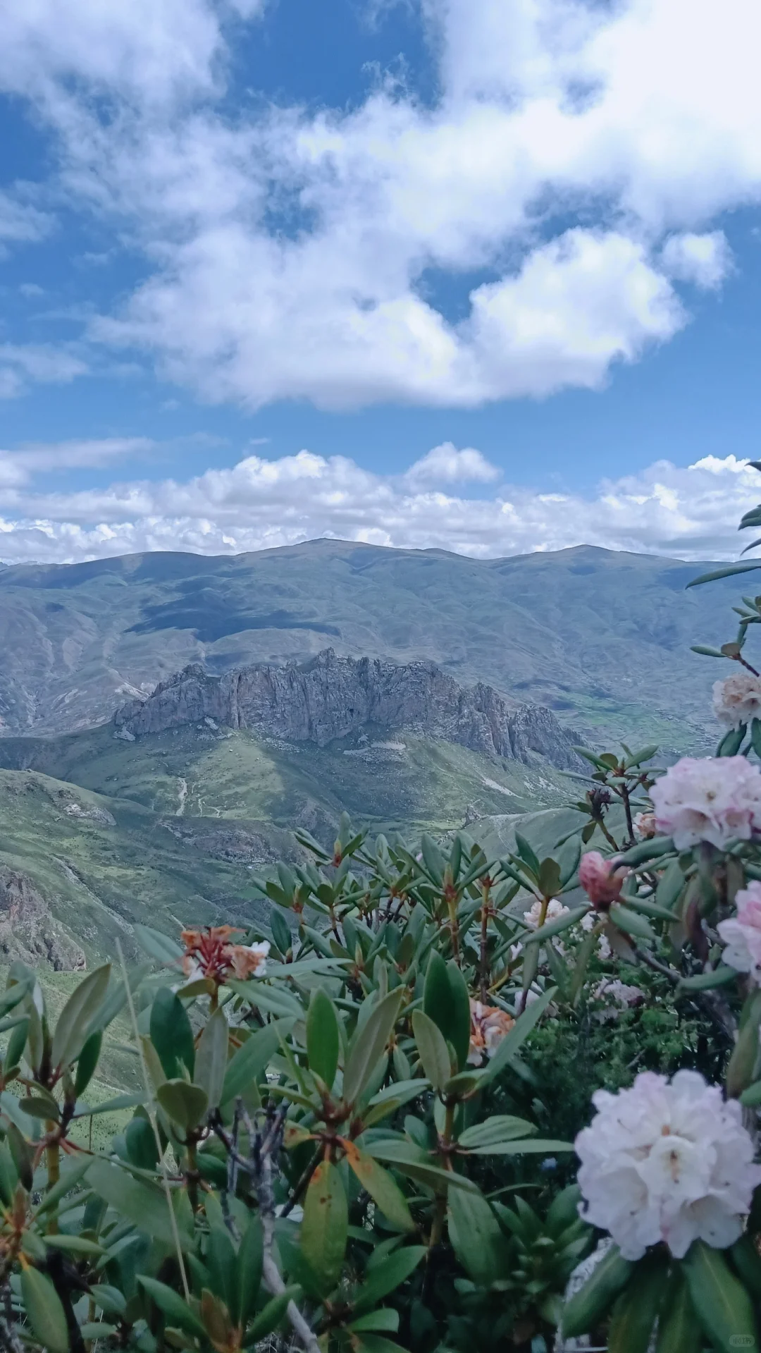 高山