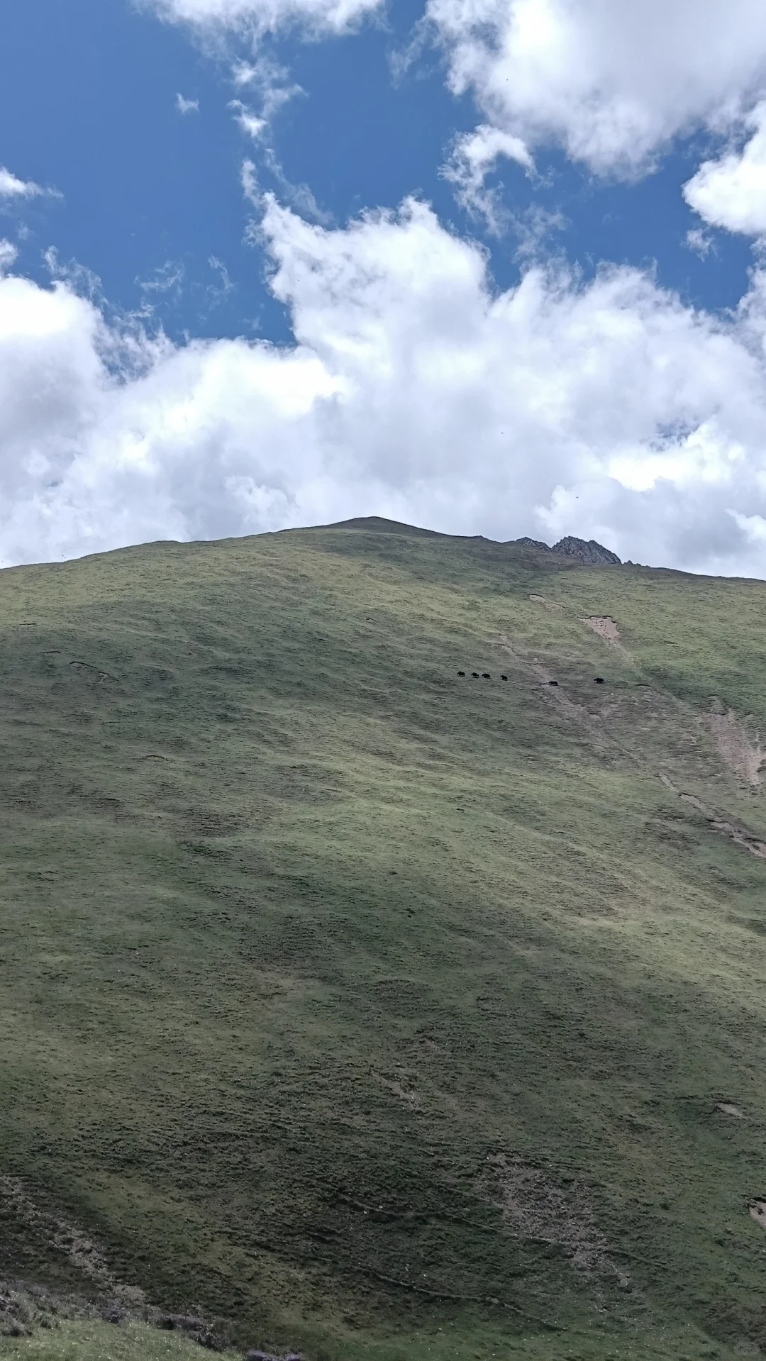 高山