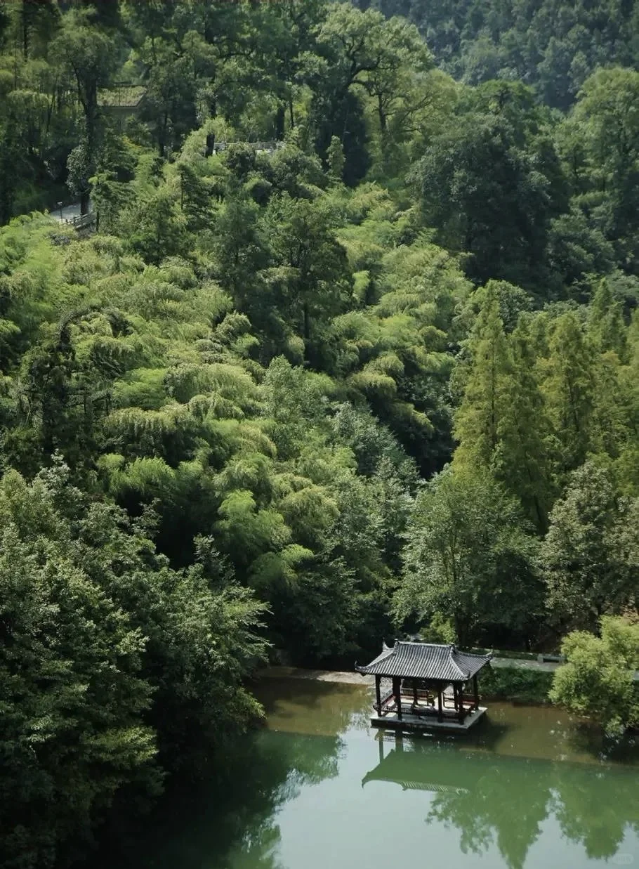 山里藏着的幽静之地！🍃