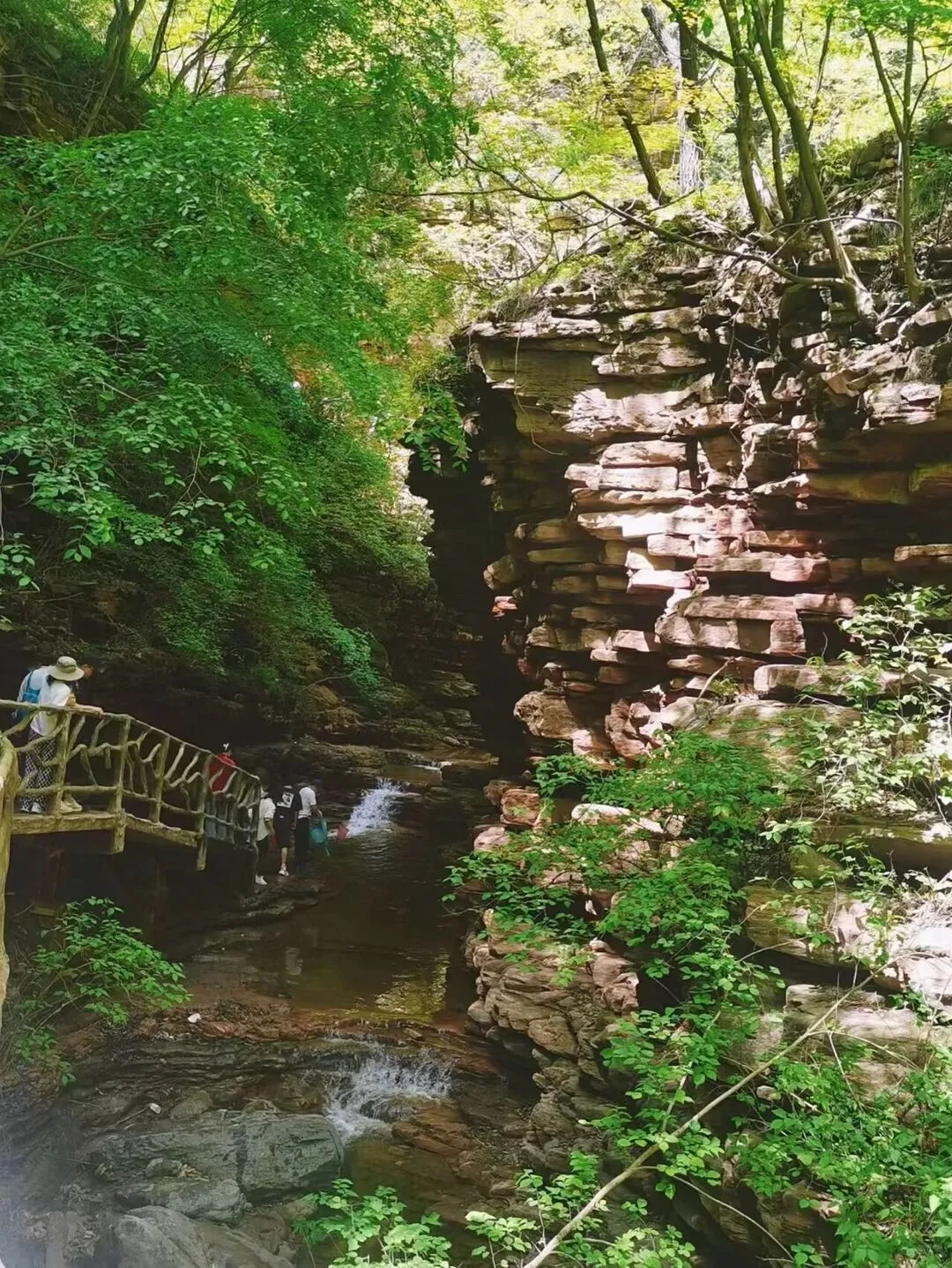旅游才是夏天该做的事情！