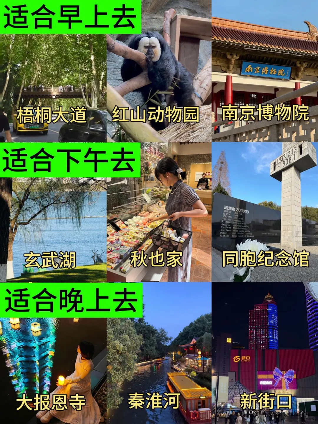 南京旅游真不是想的那样💔能救一个是一个