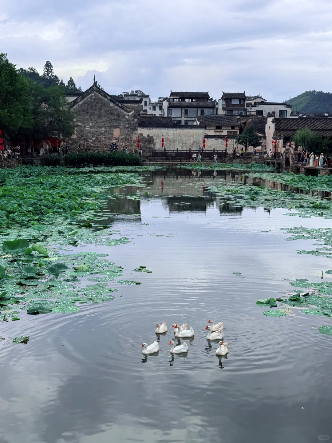 live📍徽州呈坎✨皖南古镇的夏日时光（附攻略