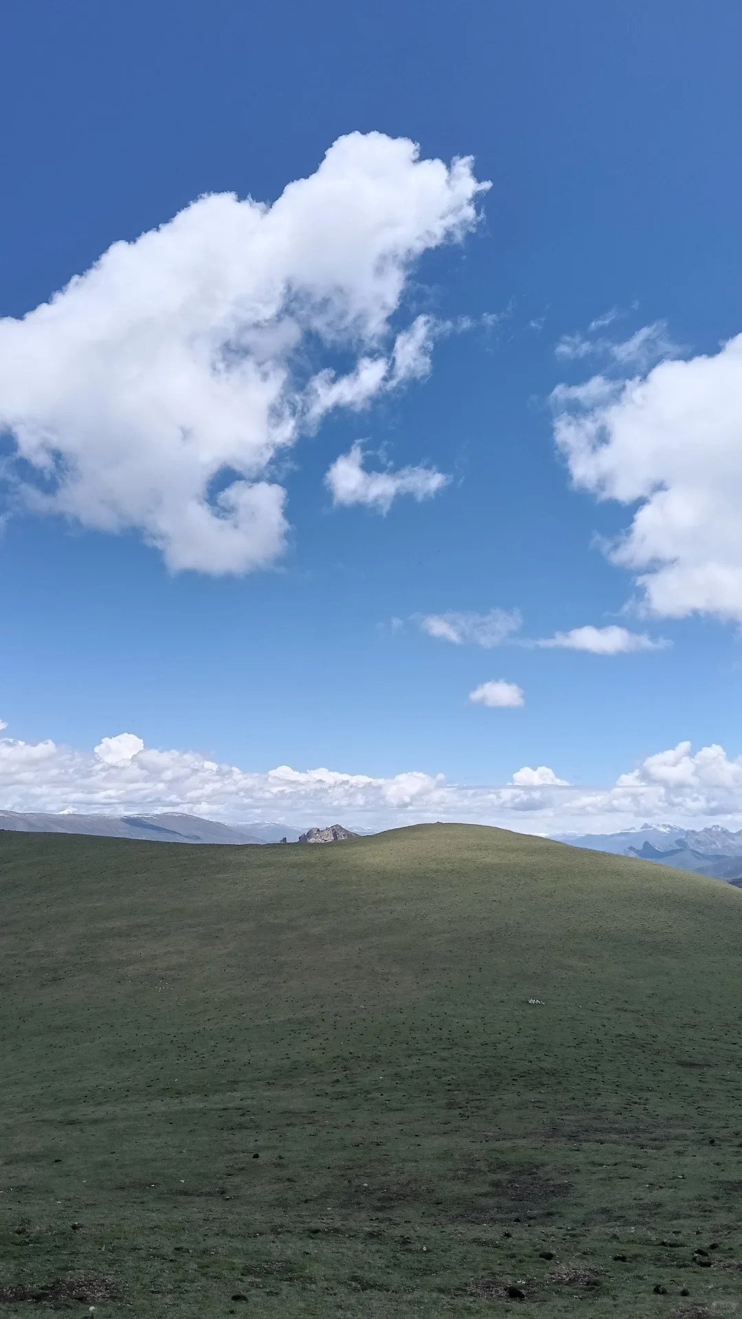 高山