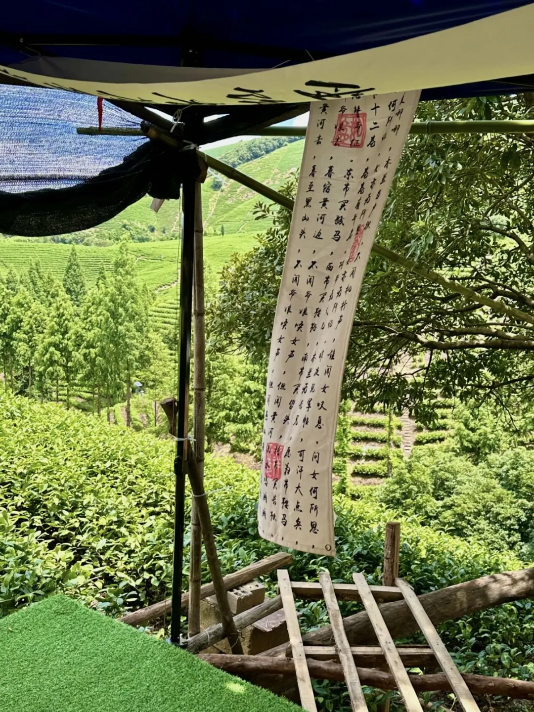 江浙沪爸妈必看❗安吉2天1夜遛娃不费妈攻略