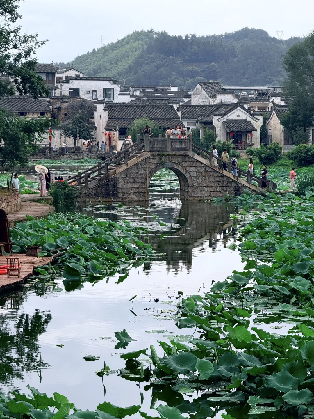 live📍徽州呈坎✨皖南古镇的夏日时光（附攻略