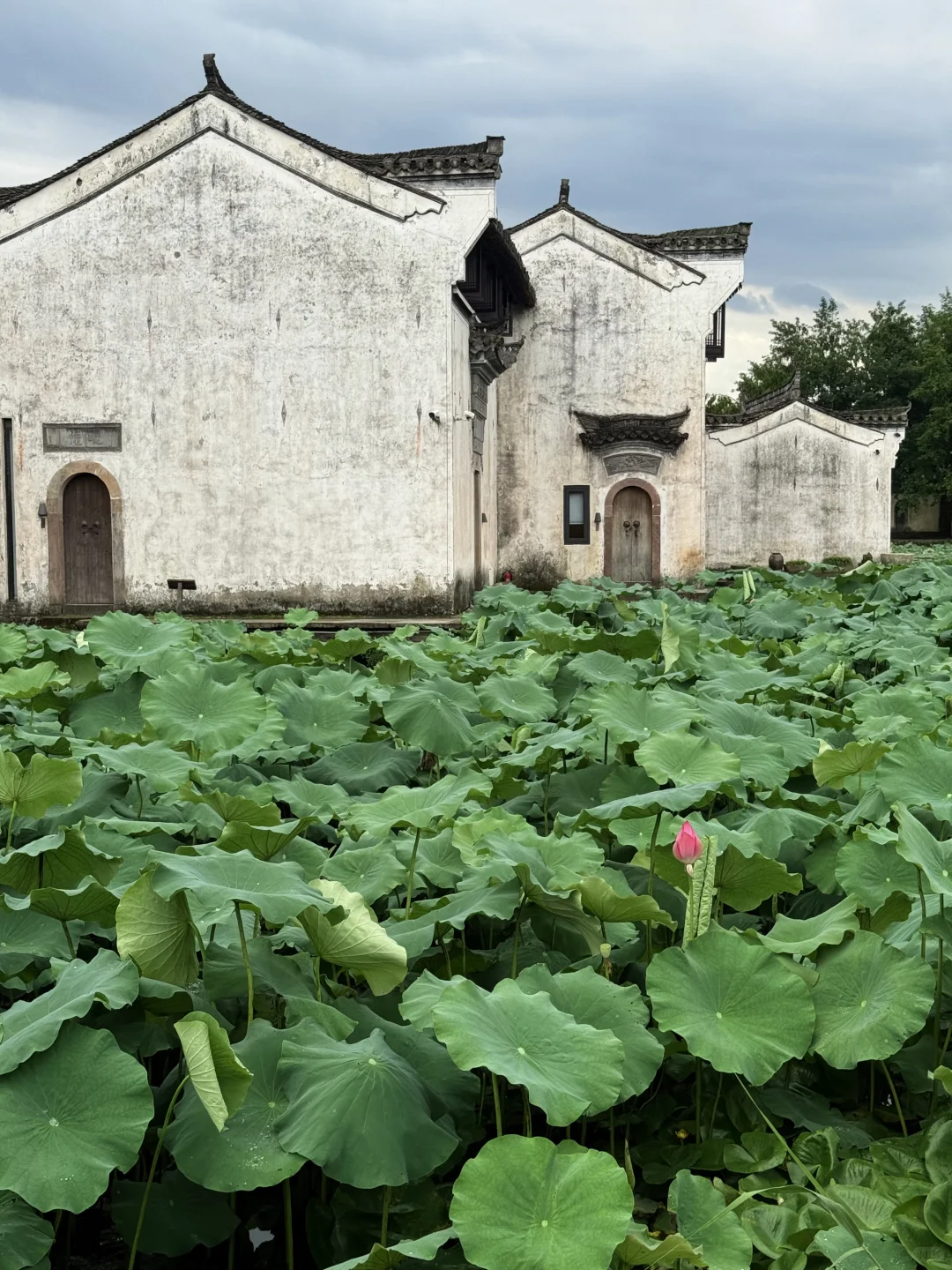 live📍徽州呈坎✨皖南古镇的夏日时光（附攻略