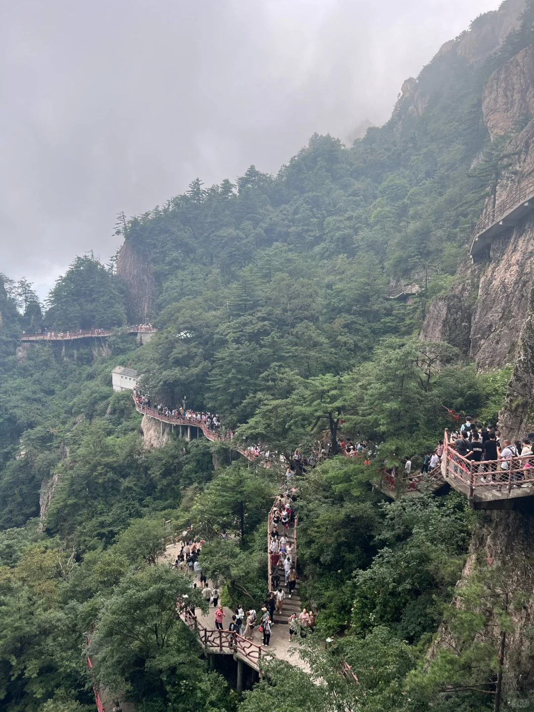 老君山一日游攻略！⛰️神仙风景绝美仙境，