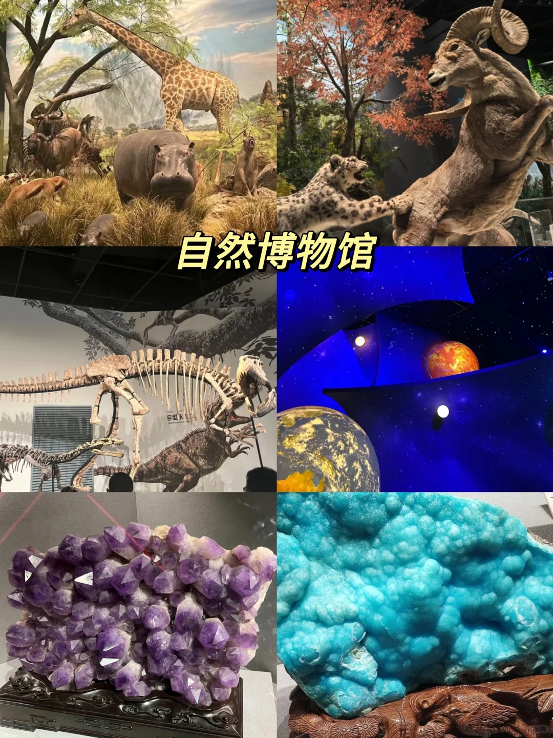 成都必去9⃣️大宝藏景点❗旅游前必看！！