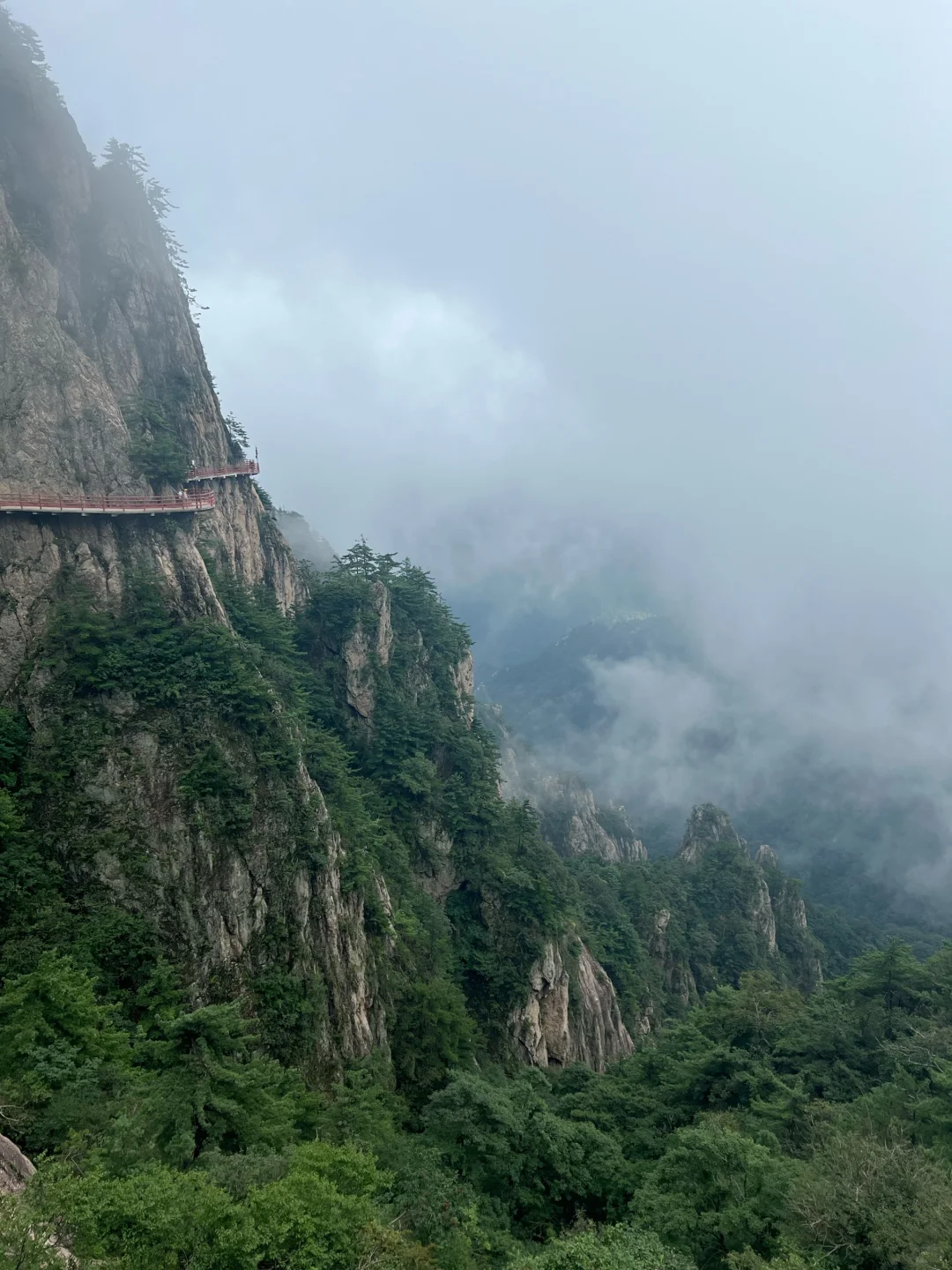 老君山一日游攻略！⛰️神仙风景绝美仙境，