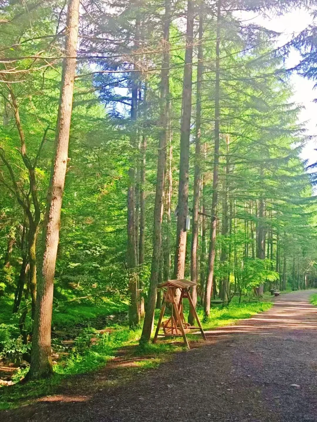 不愧是陕西“小瑞士”，假期遛娃避暑胜地✨