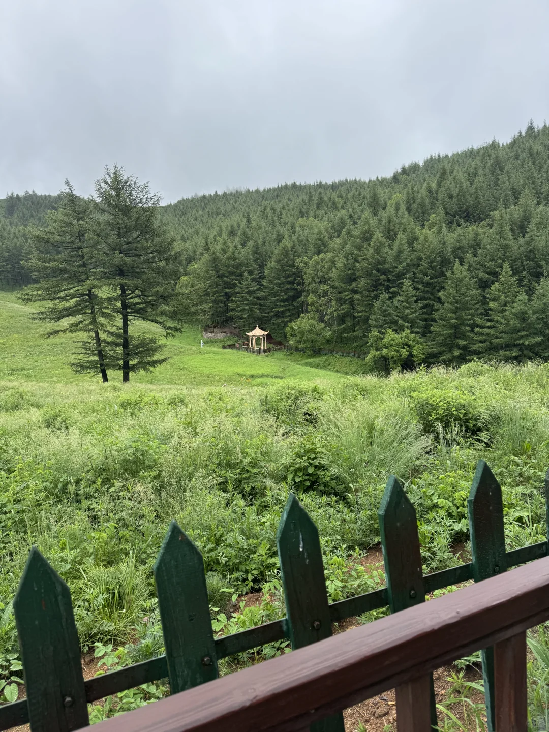 雨中驼梁