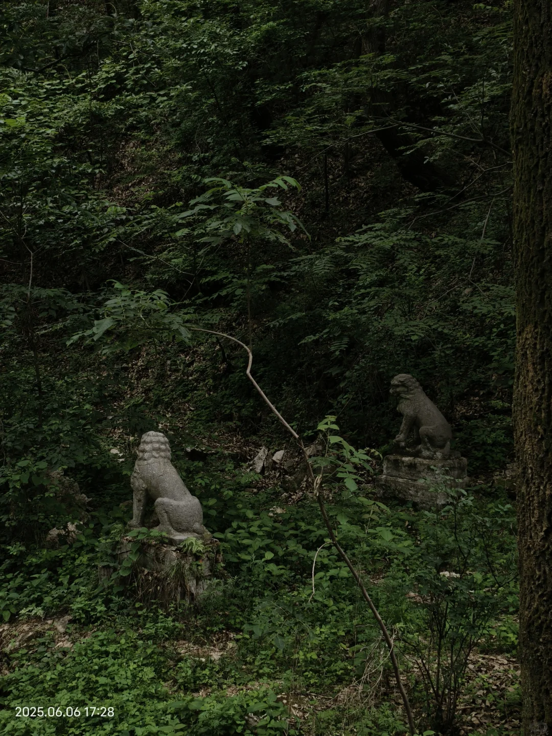 终南山五马寺 恐怖慎入