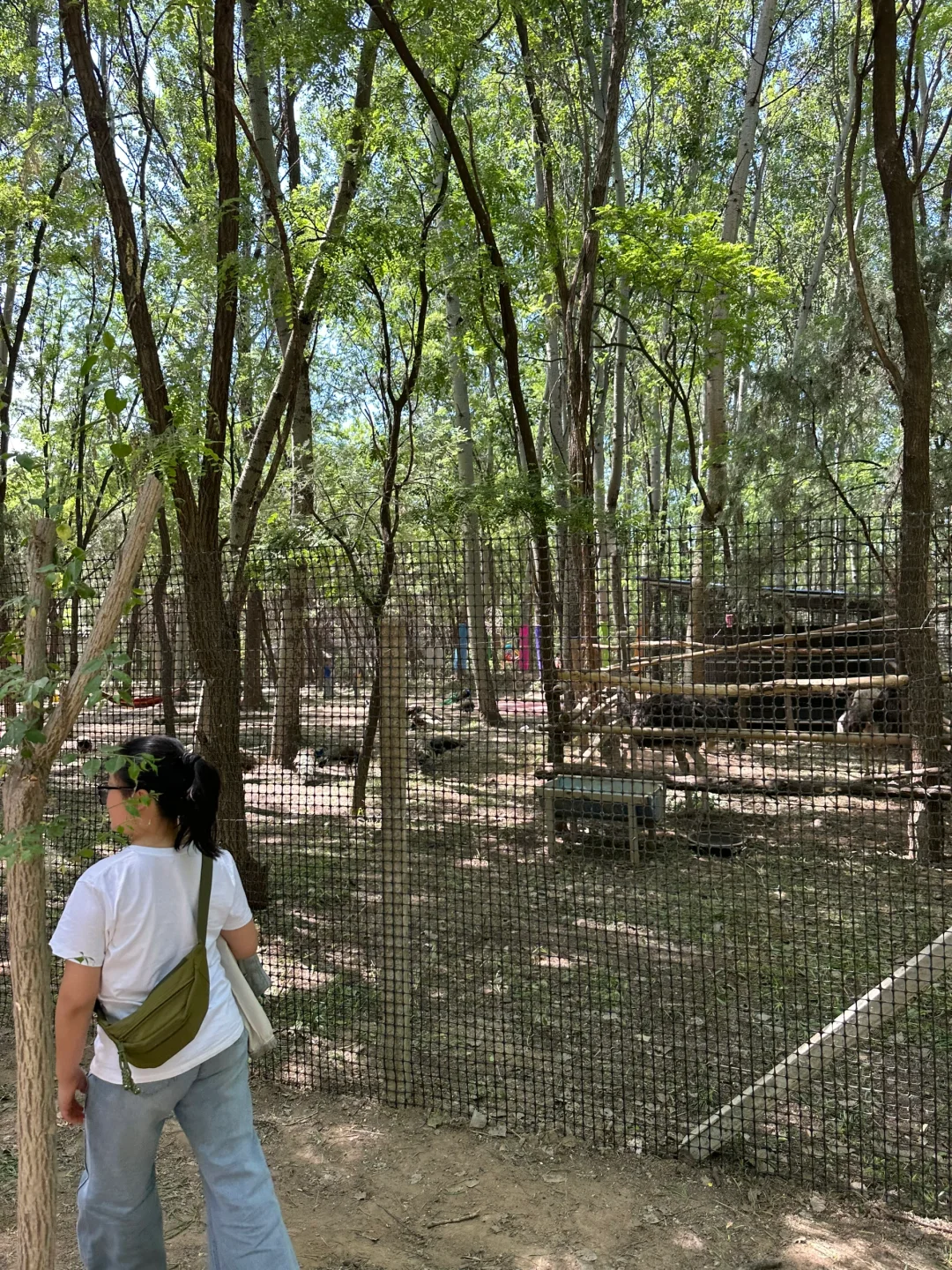 🐅景阳冈 | 走进水浒的传奇世界