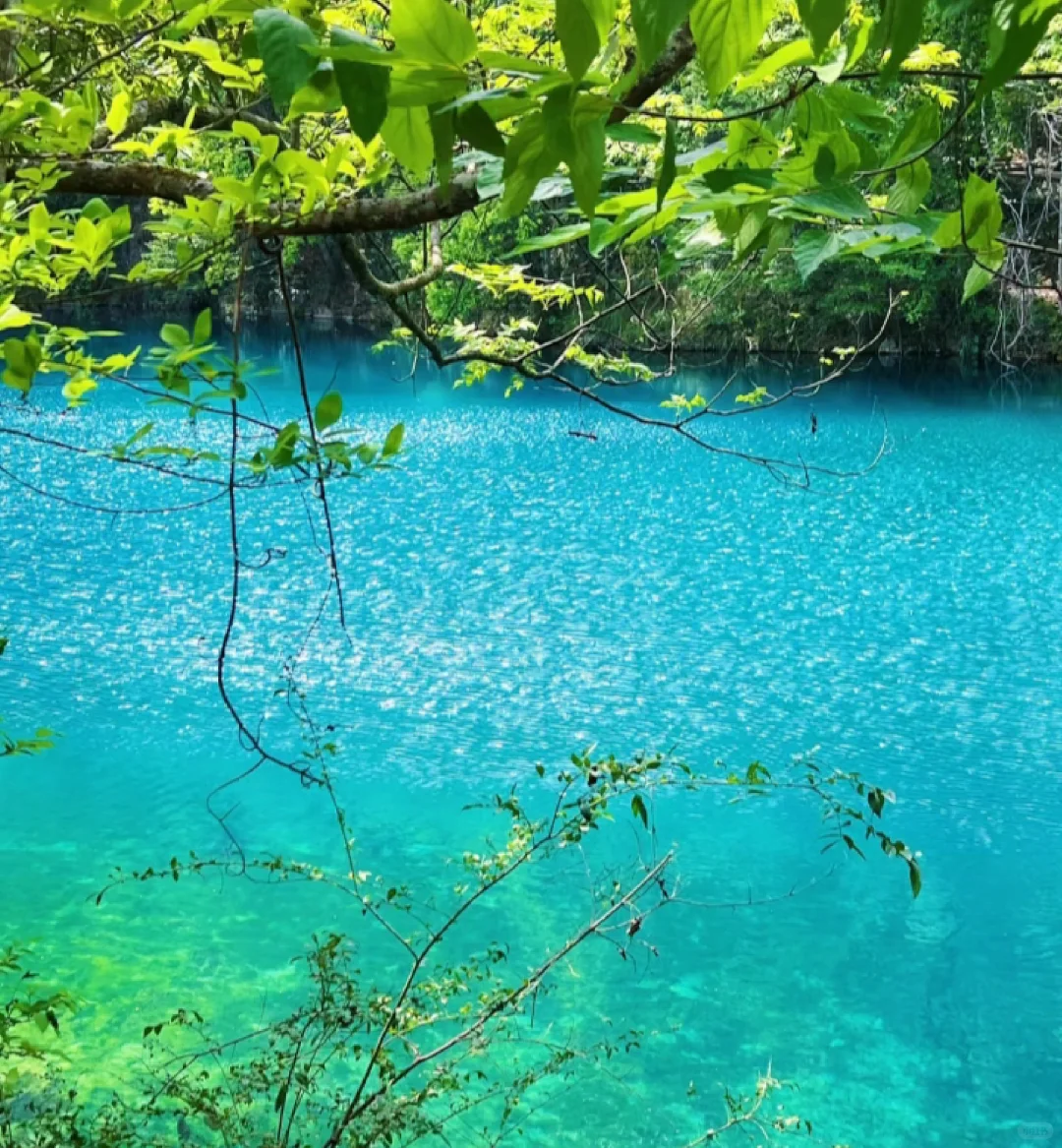 📍贵州荔波小七孔