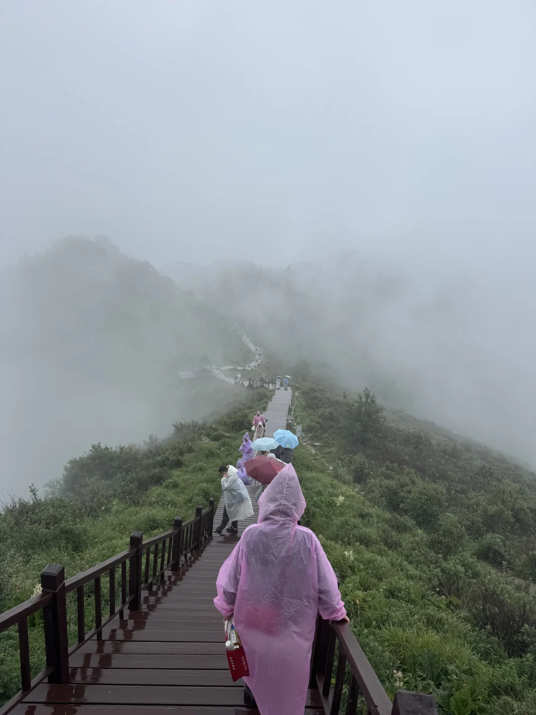 雨中驼梁