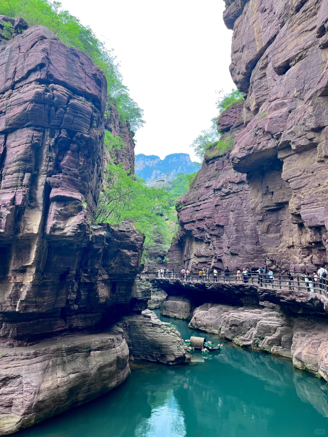 📍⛰️云台山！免门票！！！泰好玩啦……