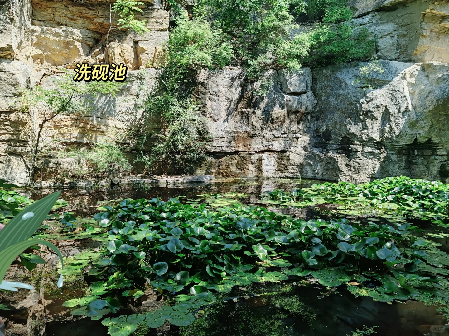 东阿｜鱼山｜曹植