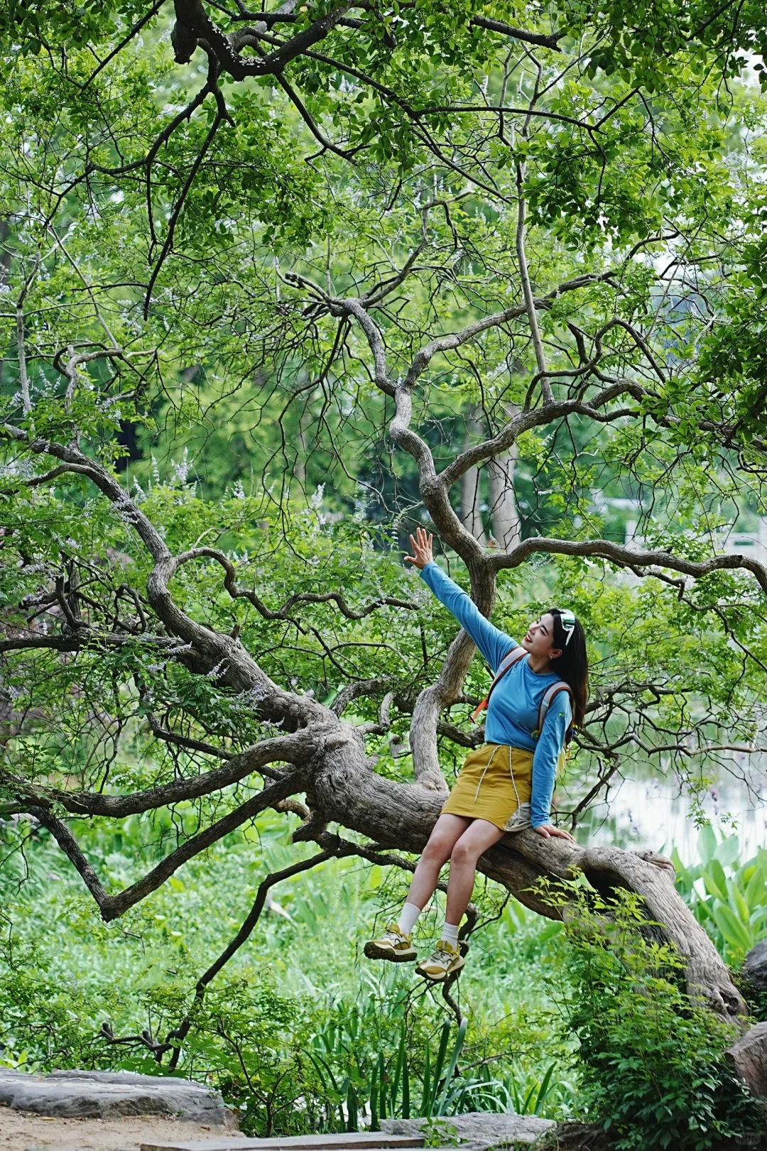 东湖就是一个巨大的能量场🌳🌳🌳