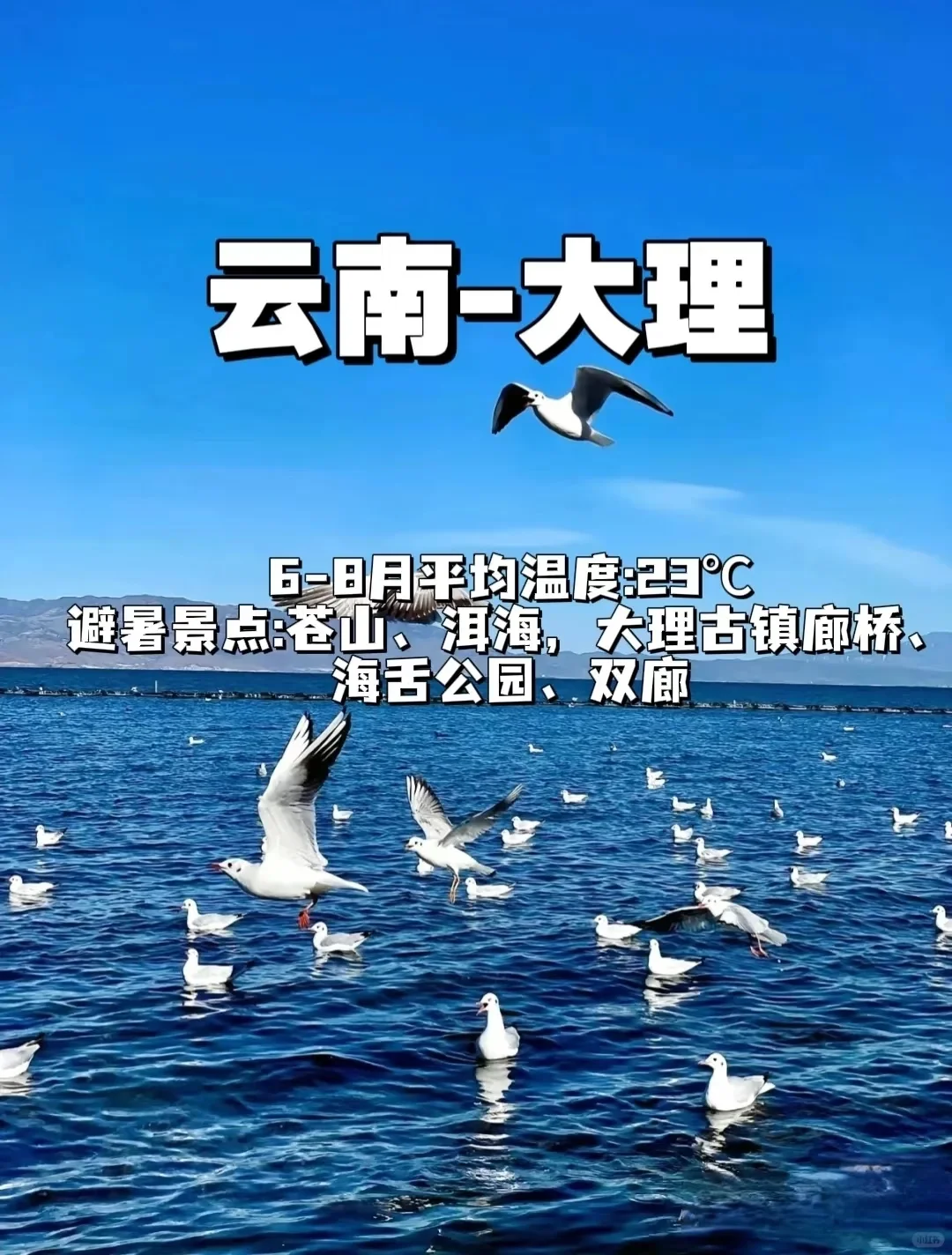 暑期旅游推荐&tips
