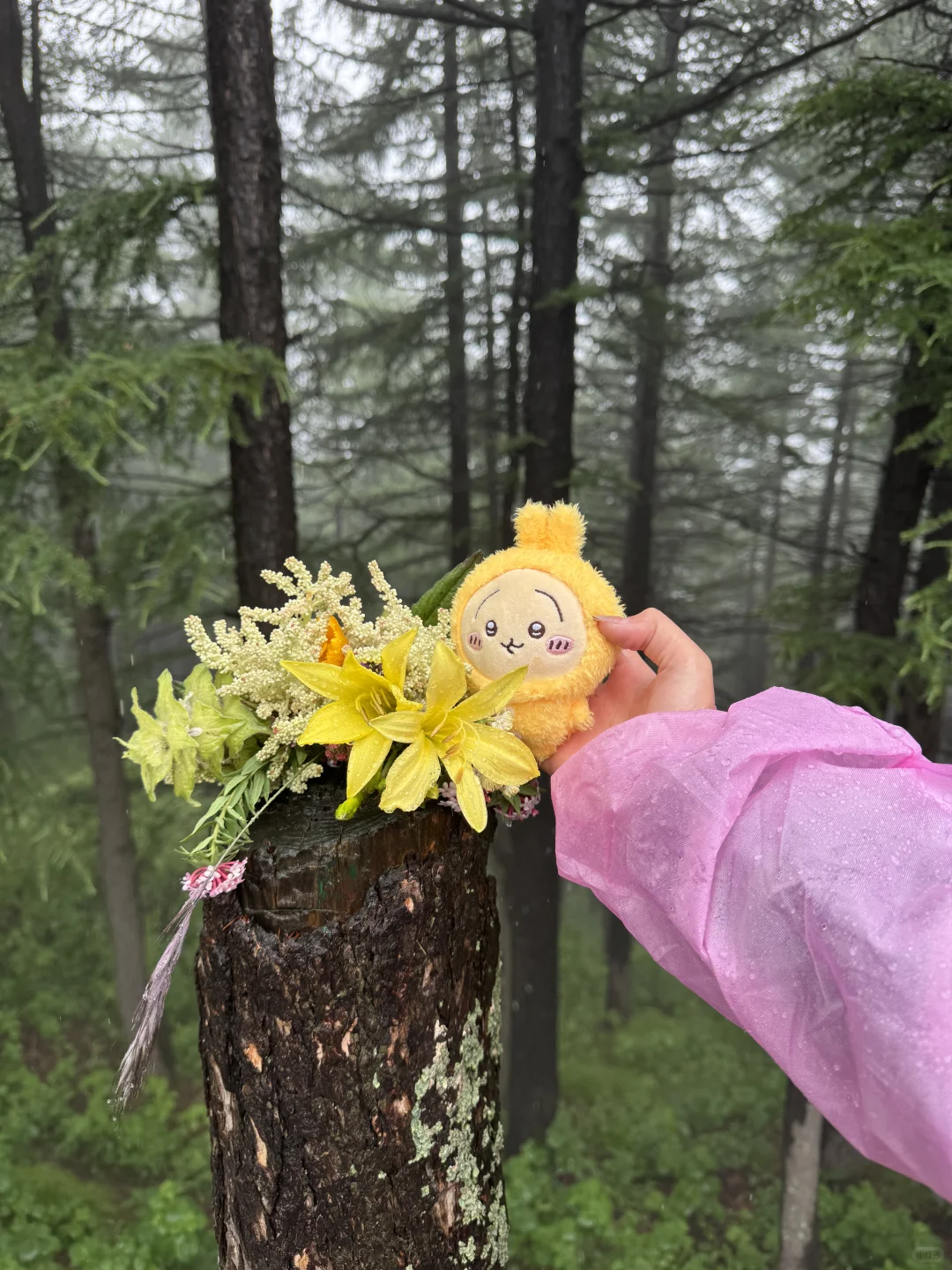 雨中驼梁