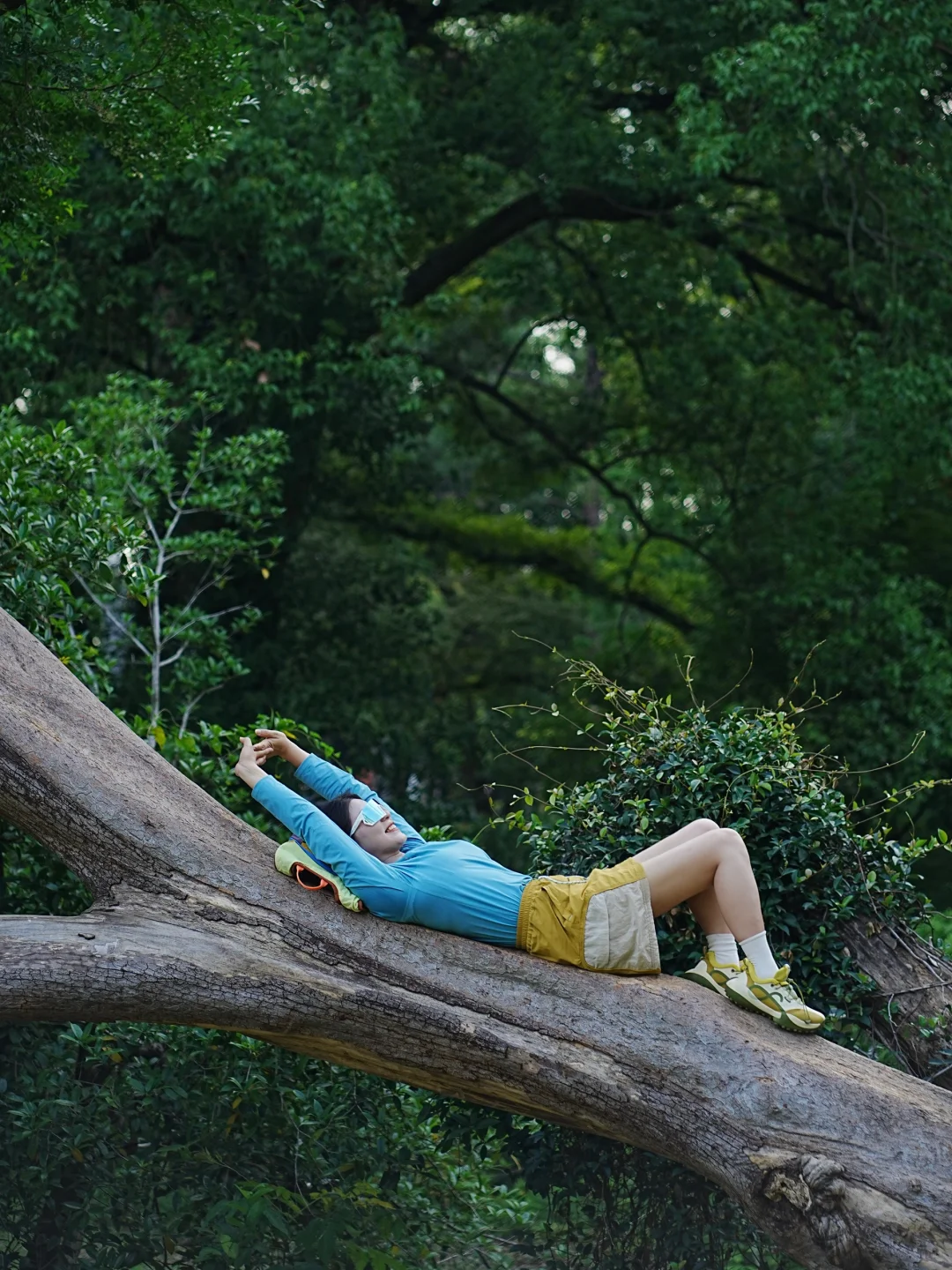 东湖就是一个巨大的能量场🌳🌳🌳