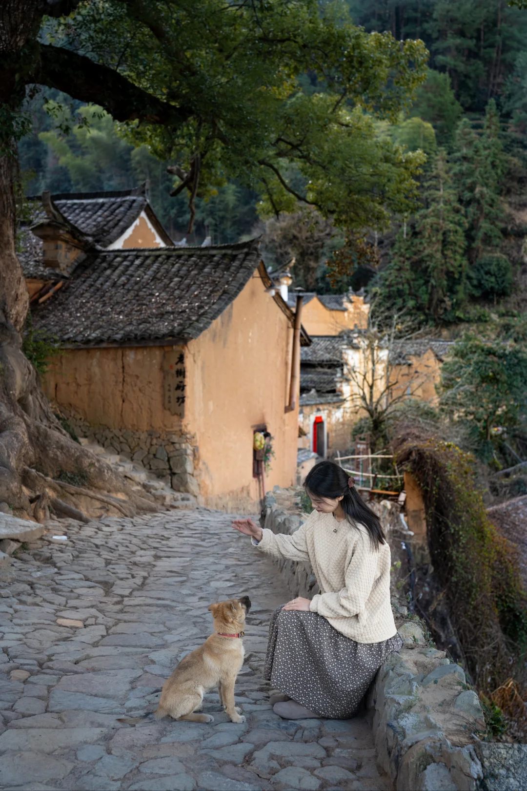 周末打卡《江南秘境》～松阳古村落❗️