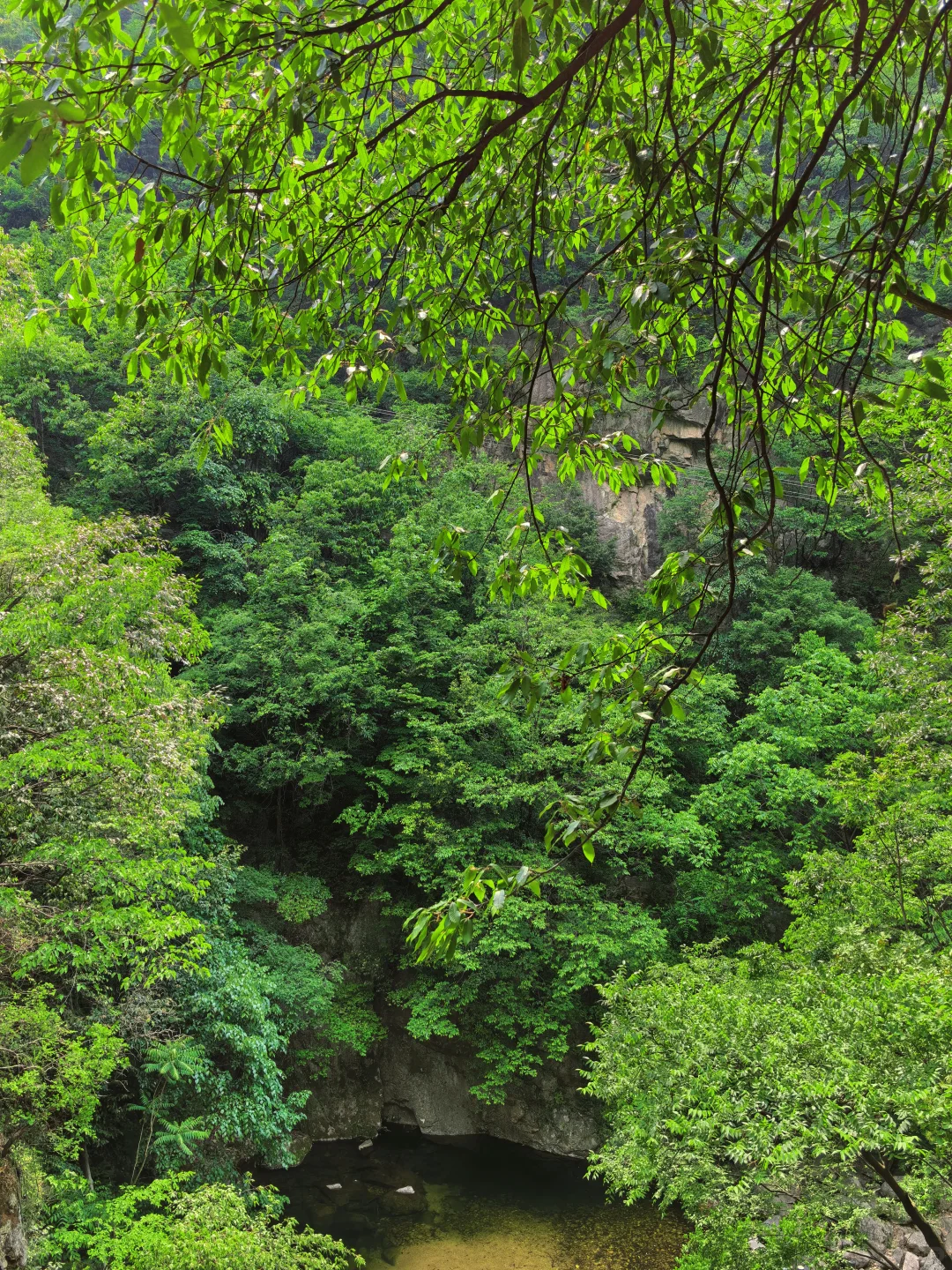 去洛阳栾川后劲太大了