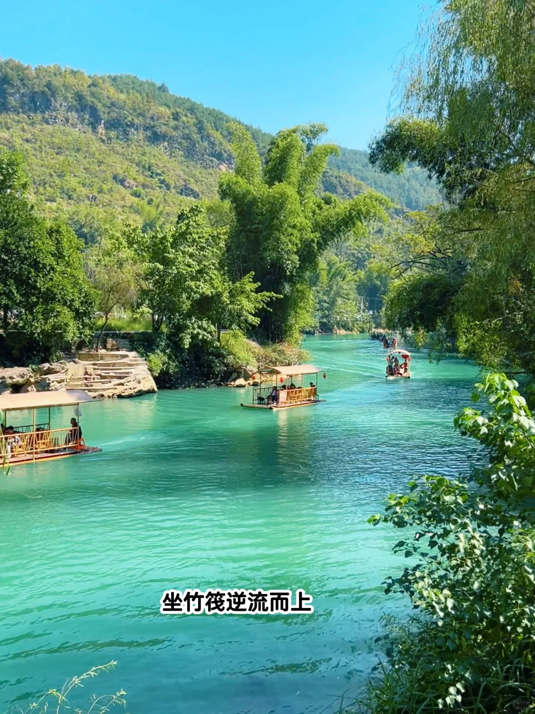 免费人少你敢信？我愿意给出10⭐好评☑️