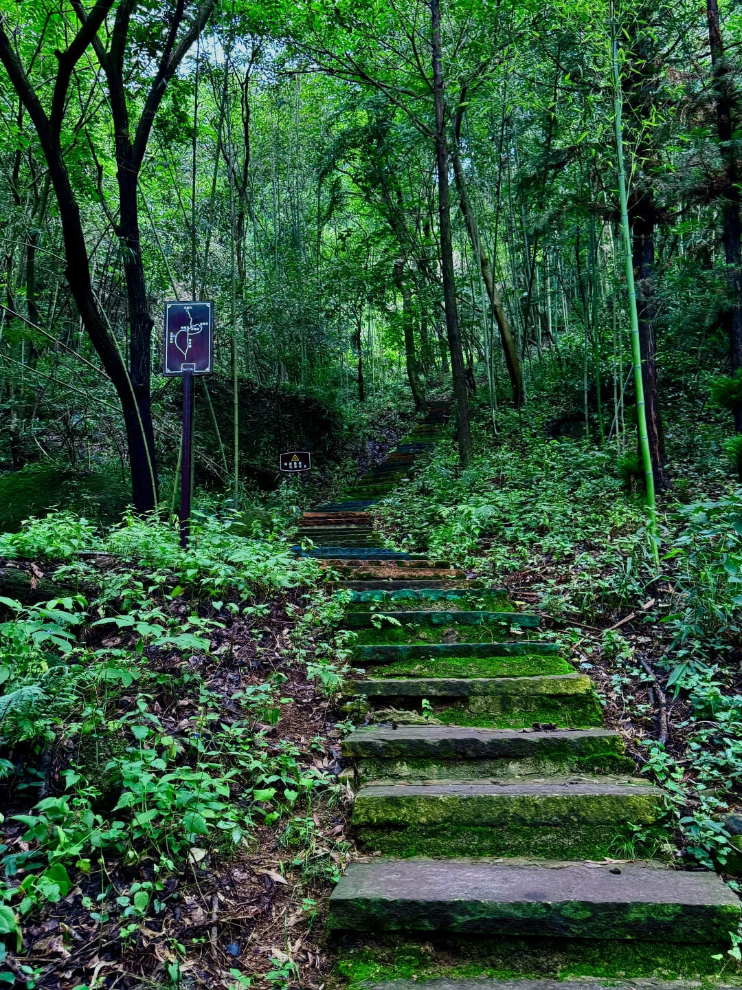 六安溯溪玩水宝藏去处-独山龙井沟景区