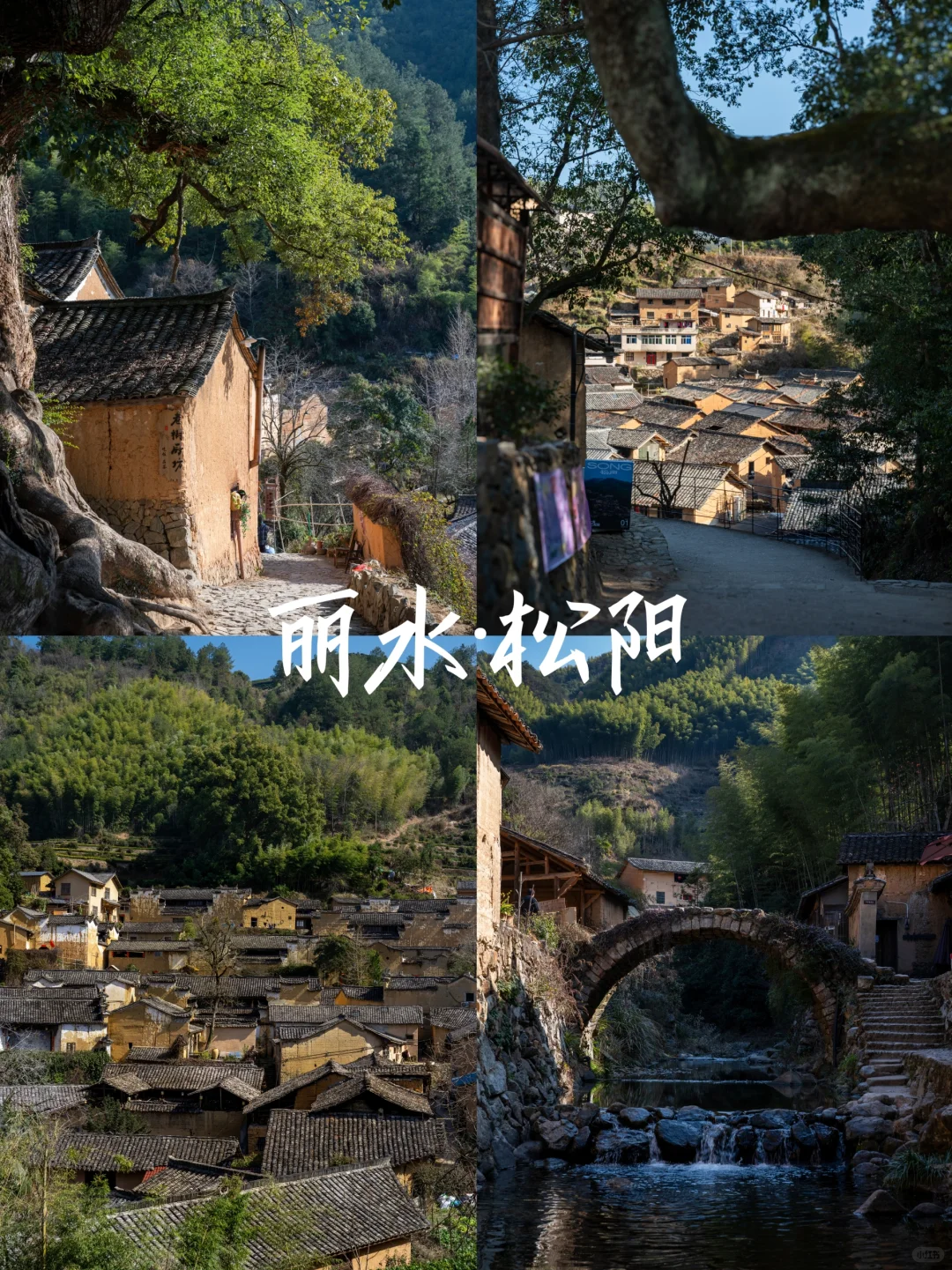 周末打卡《江南秘境》～松阳古村落❗️