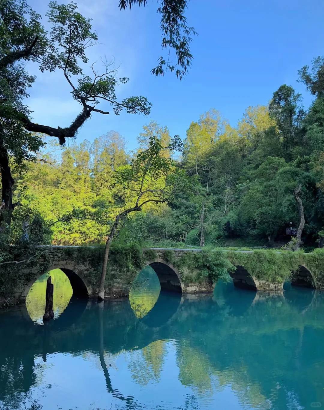 📍贵州荔波小七孔