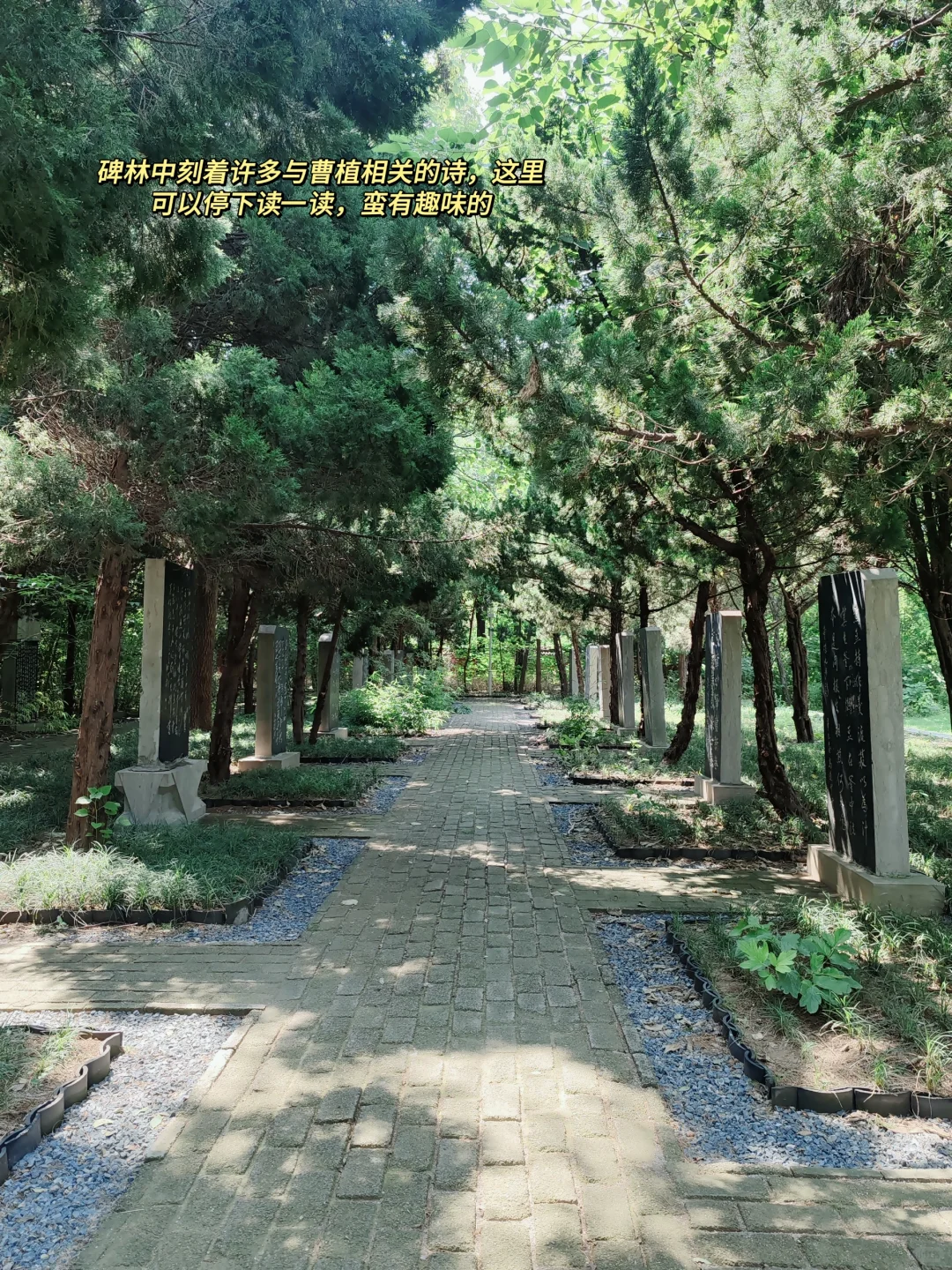 东阿｜鱼山｜曹植