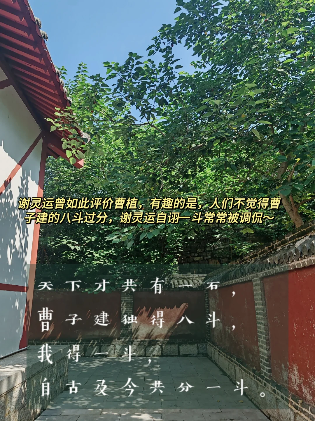 东阿｜鱼山｜曹植