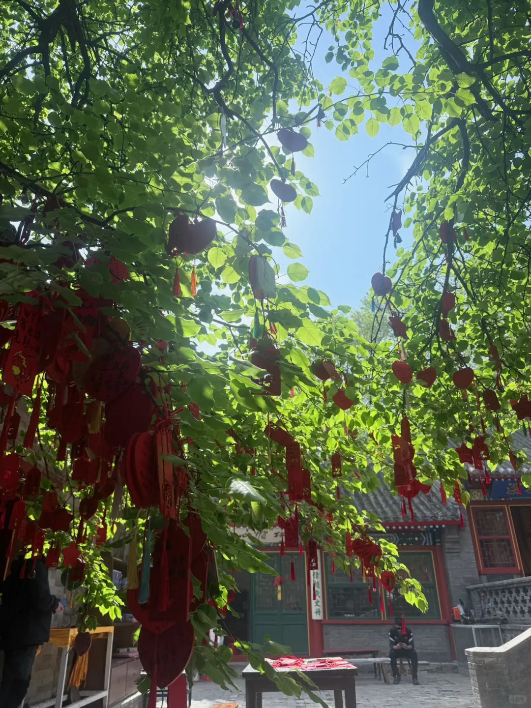 🌿五一拒绝人挤人！来爬长城第一山吸氧啦～