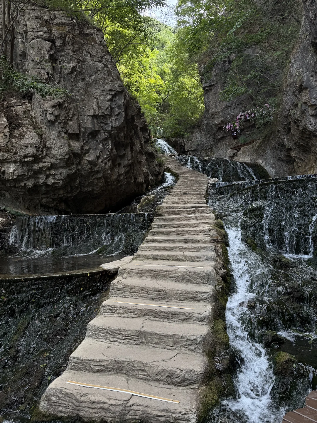 ⛰️ 王府竹海|踏瀑成功湿身 爽到灵魂出窍~
