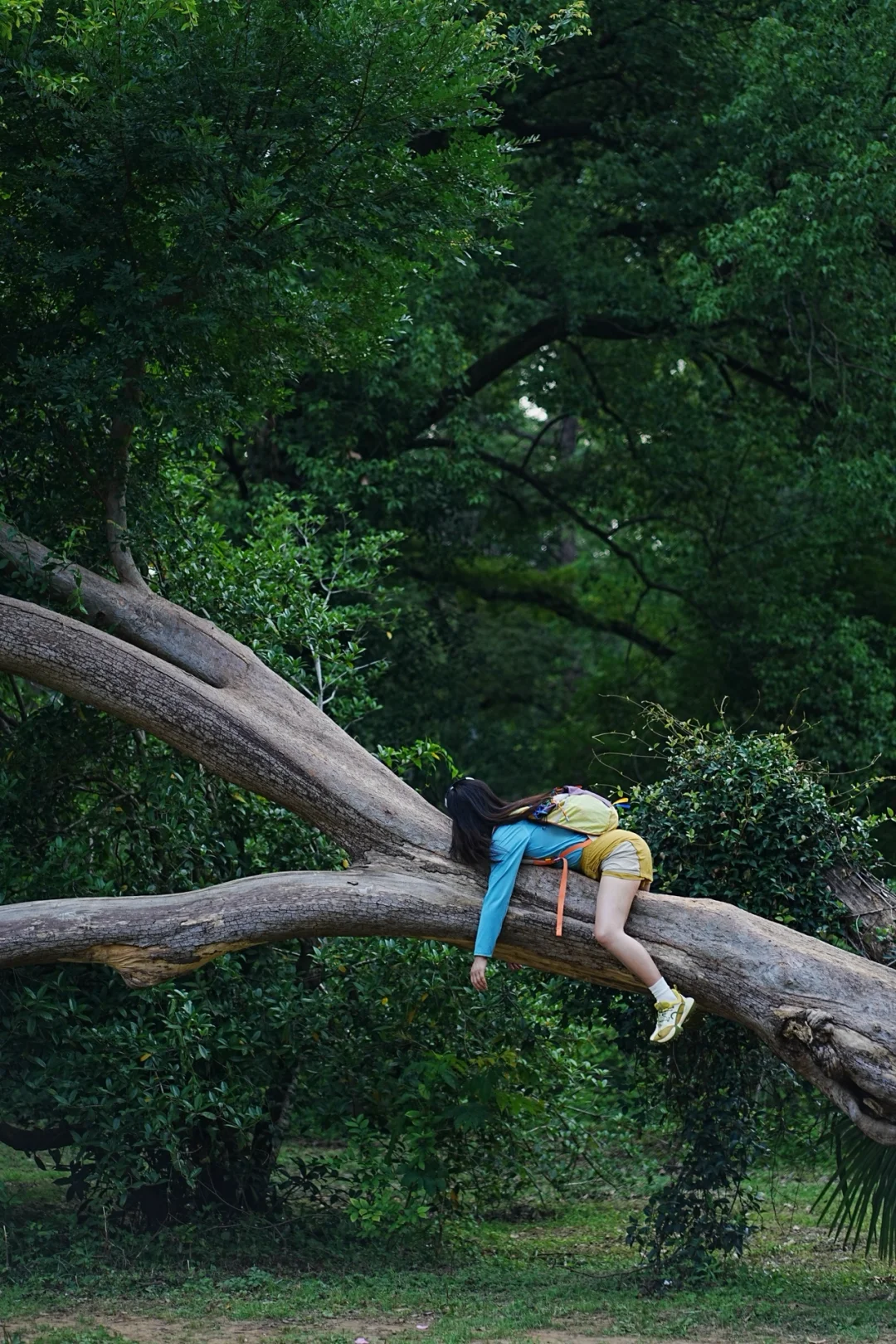 东湖就是一个巨大的能量场🌳🌳🌳