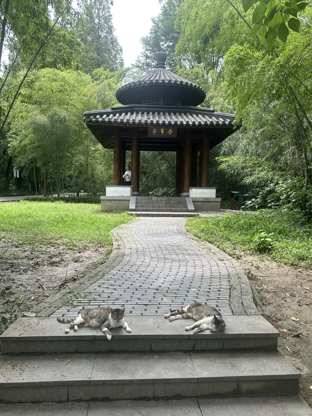 滁州 琅琊山
